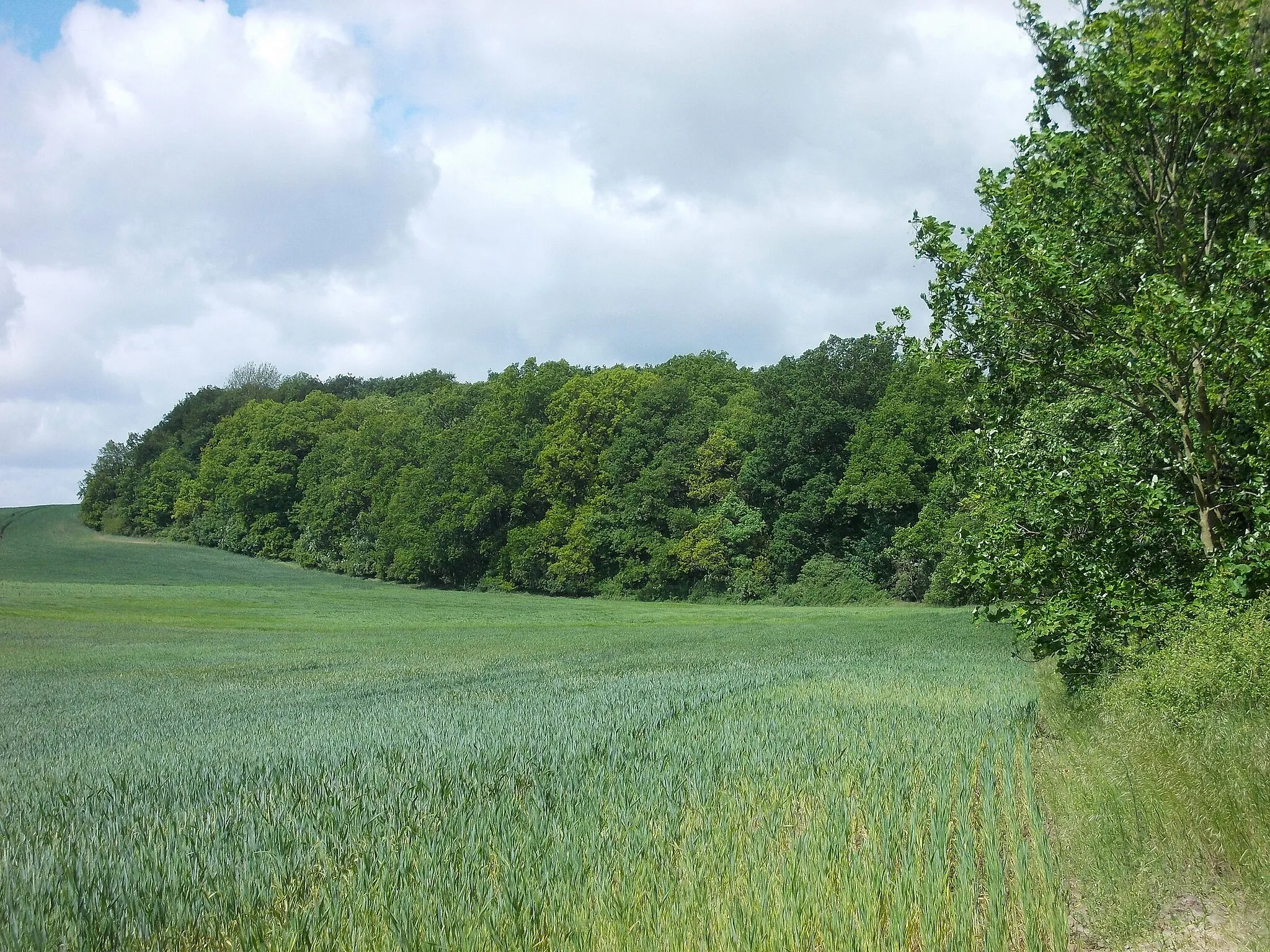 Photo showing: This is a picture of the protected area listed at WDPA under the ID