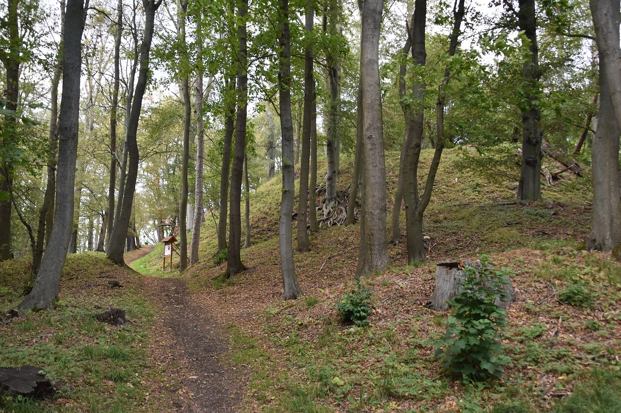 Photo showing: Burgruine Anhalt auf dem Großen Hausberg bei Harzgerode