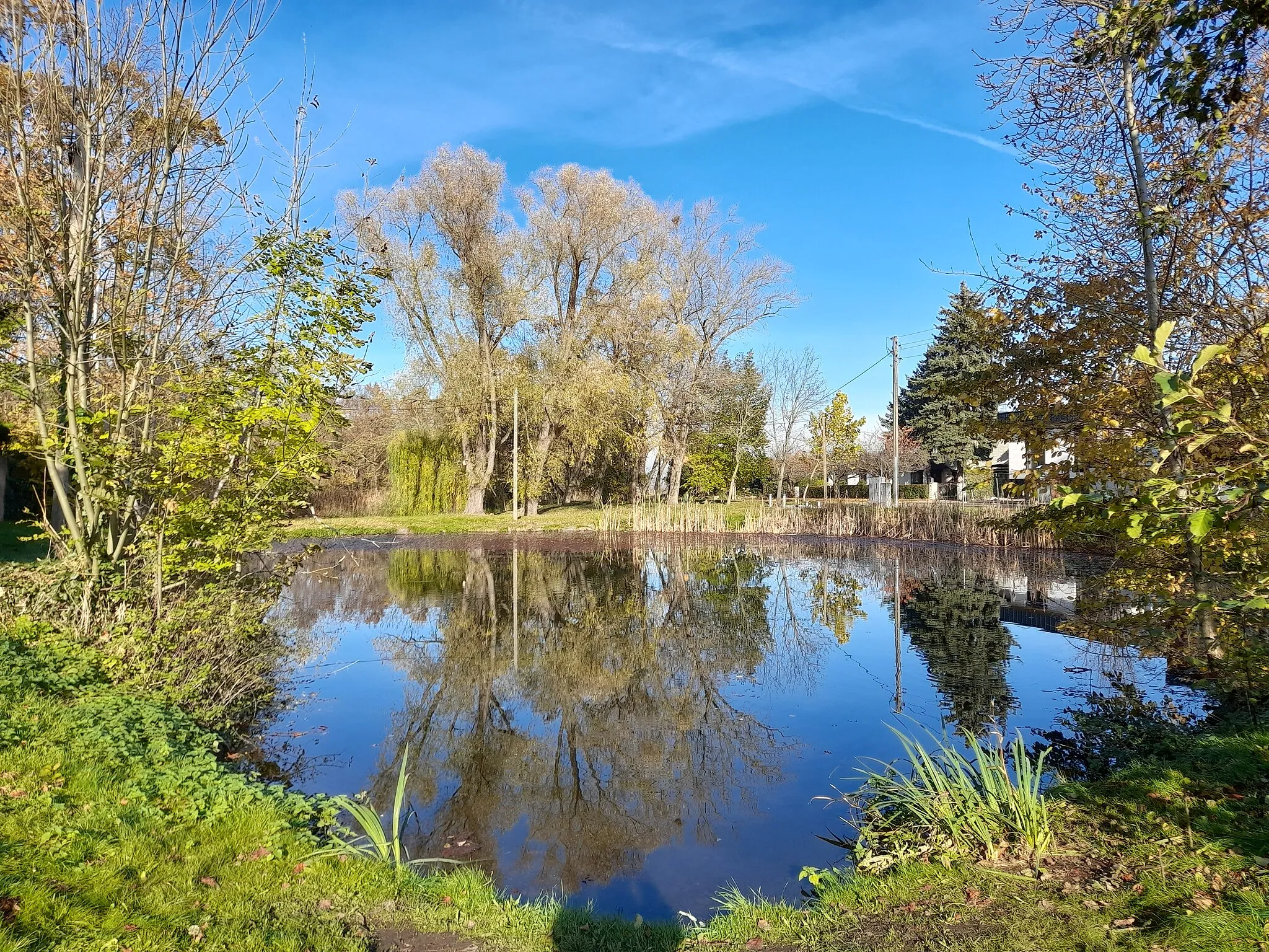 Photo showing: Dorfteich in Gottenz