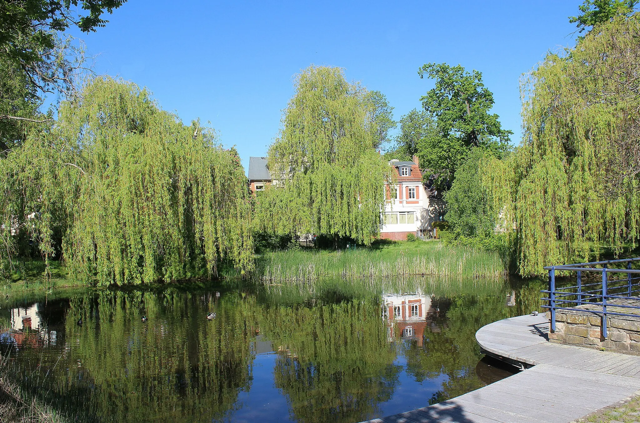 Photo showing: Bad Salzelmen, the swan pond