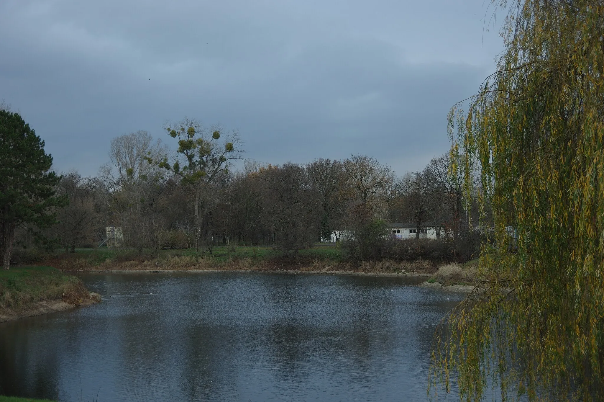 Photo showing: Magdeburg in Sachsen-Anhalt. Der Stadtpark ist denkmalgeschützt.