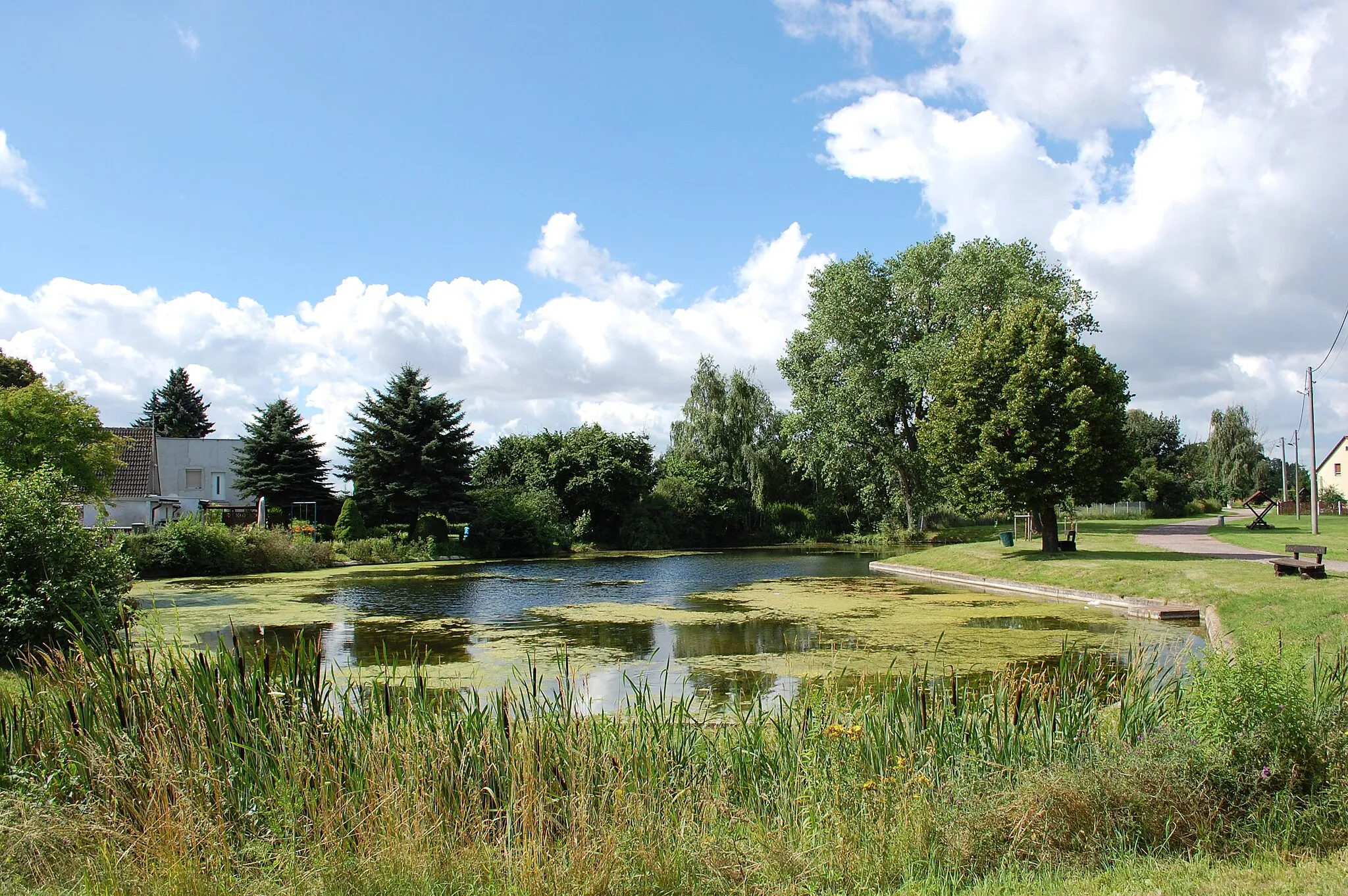 Photo showing: Teich in Beuditz