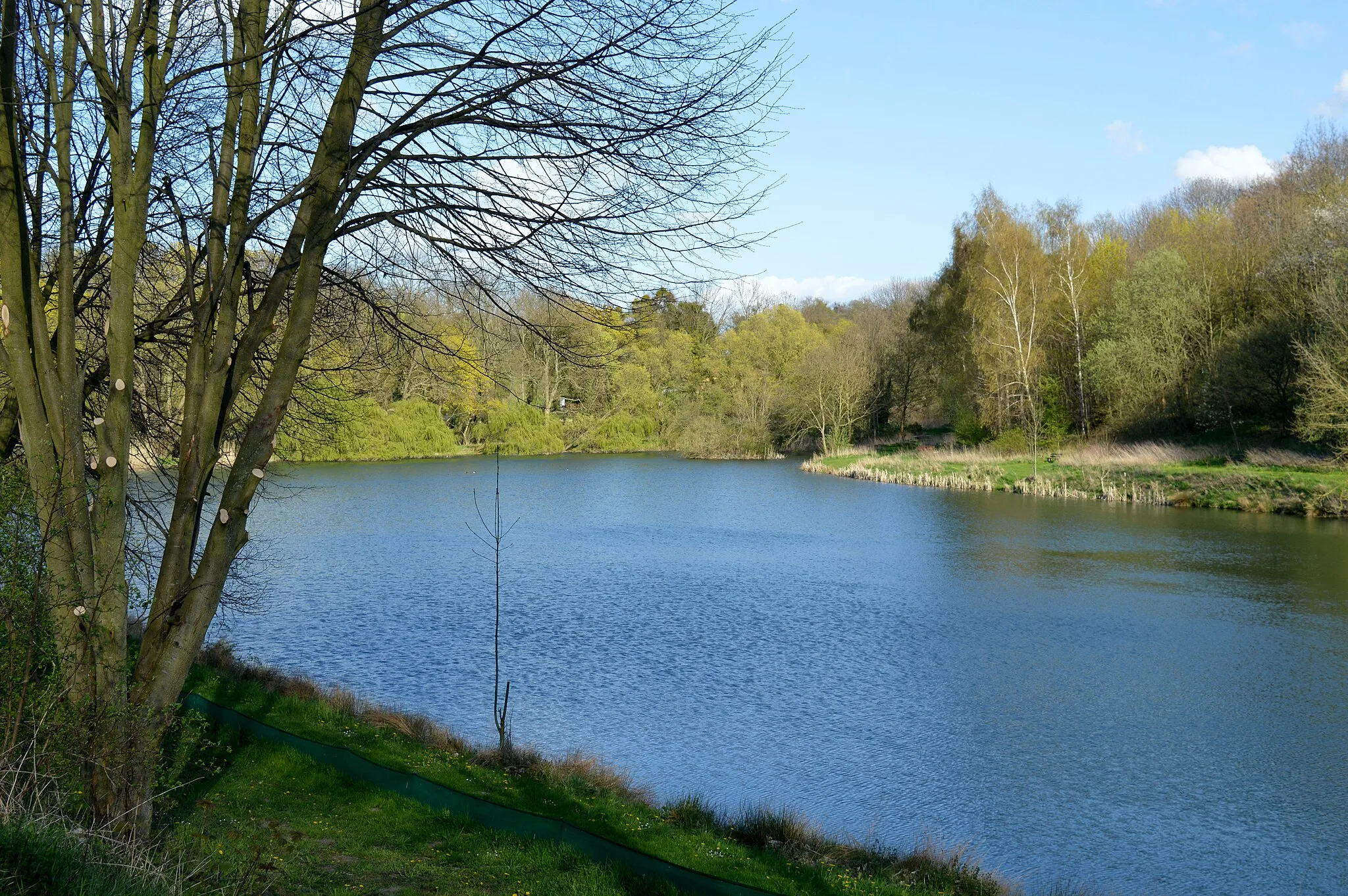 Photo showing: Landschaftsschutzgebiet Huy - Krummer Teich in Röderhof
