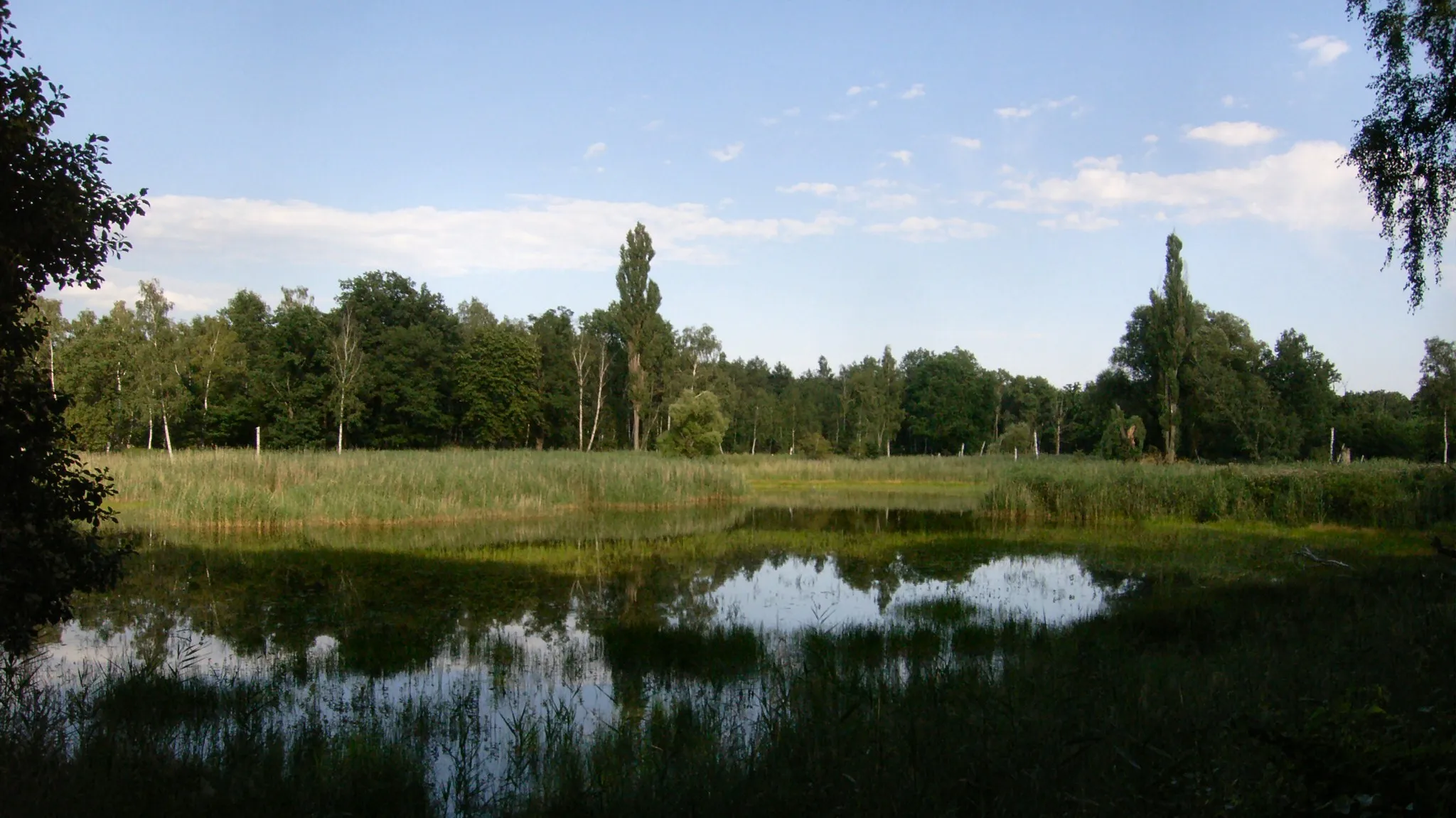 Photo showing: Dessau-Roßlau, Ortsteil Sollnitz, Moch-Teich