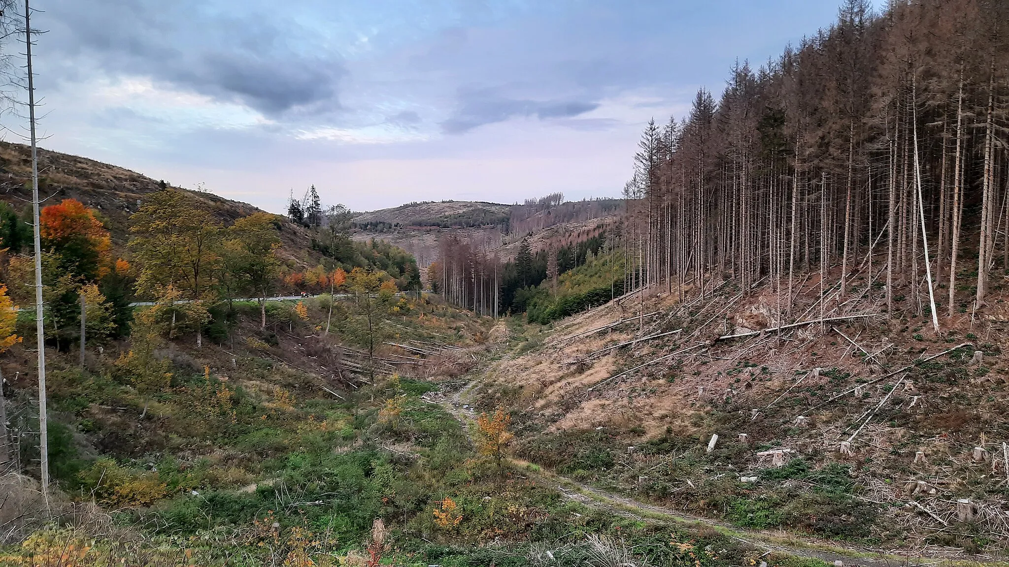 Photo showing: Drängetal