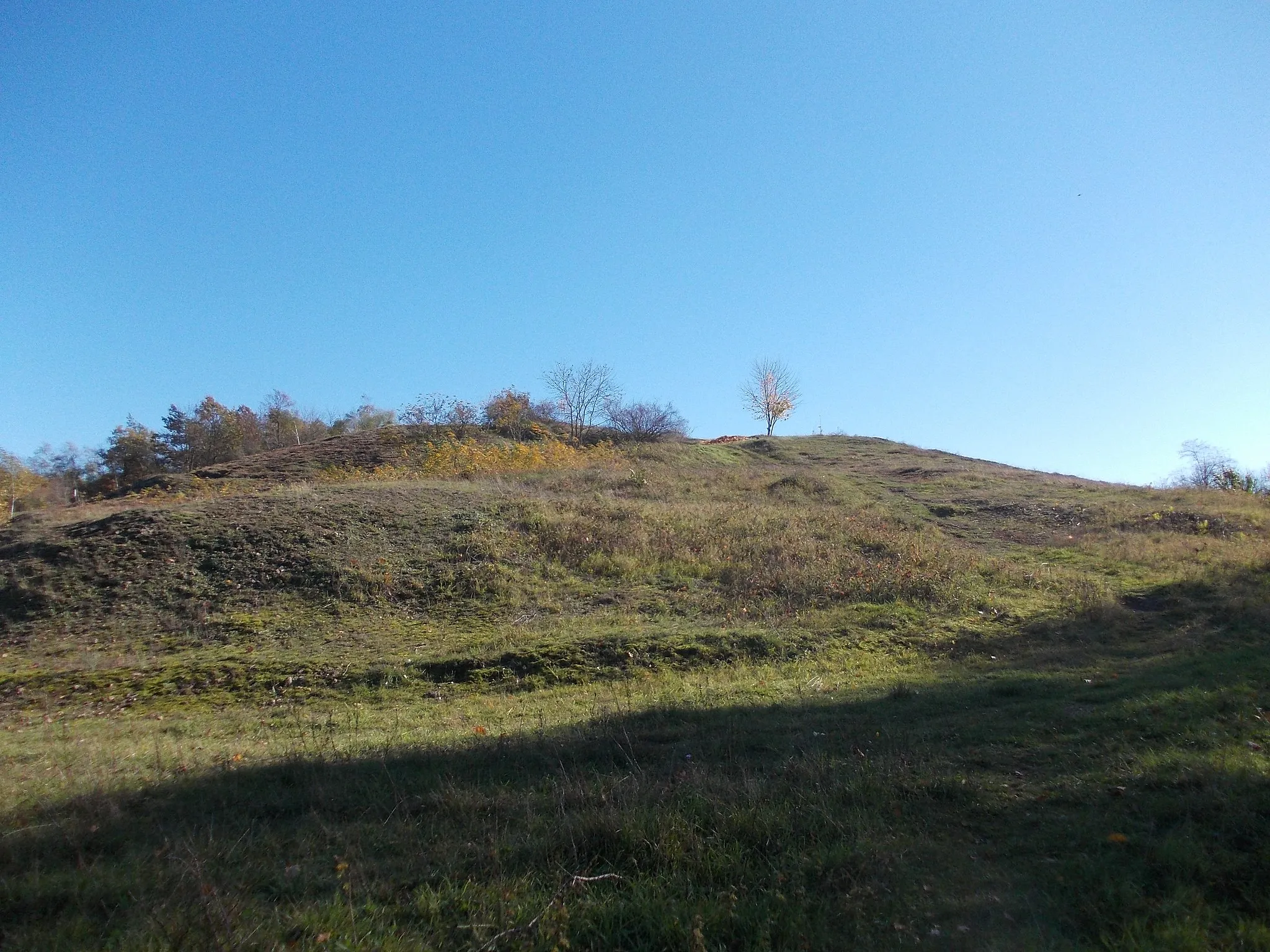 Photo showing: Brandberge hills in Halle/Saale (Saxony-Anhalt)