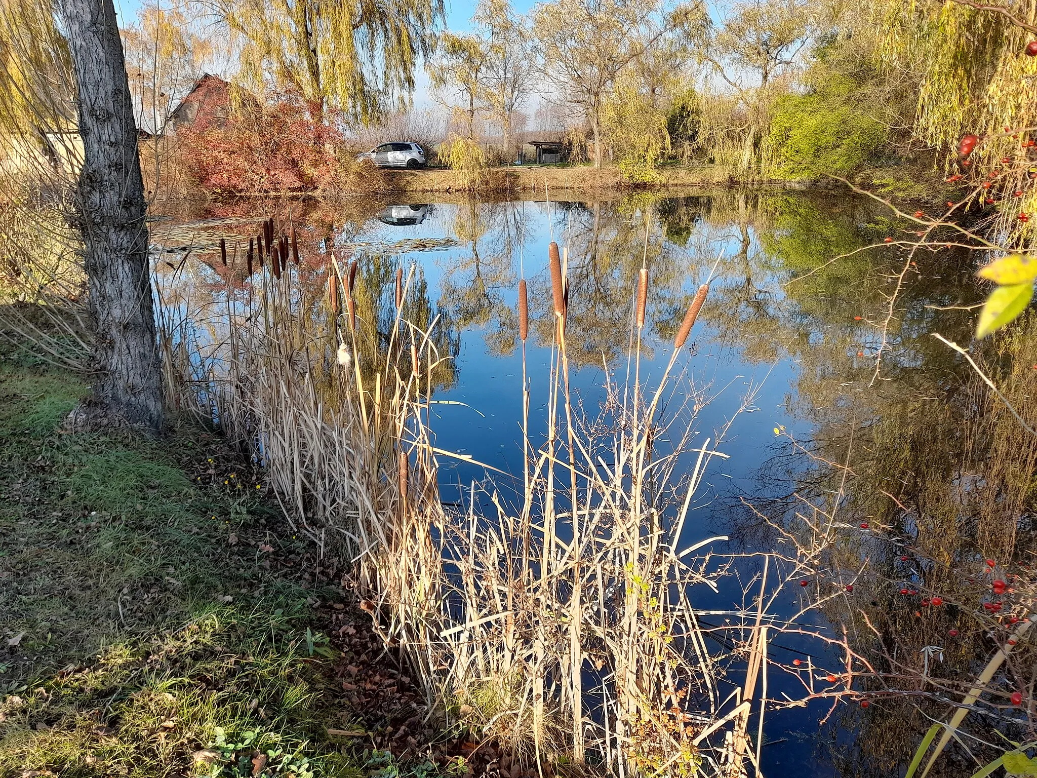 Photo showing: Werlitzsch, der kleinere der beiden Teiche