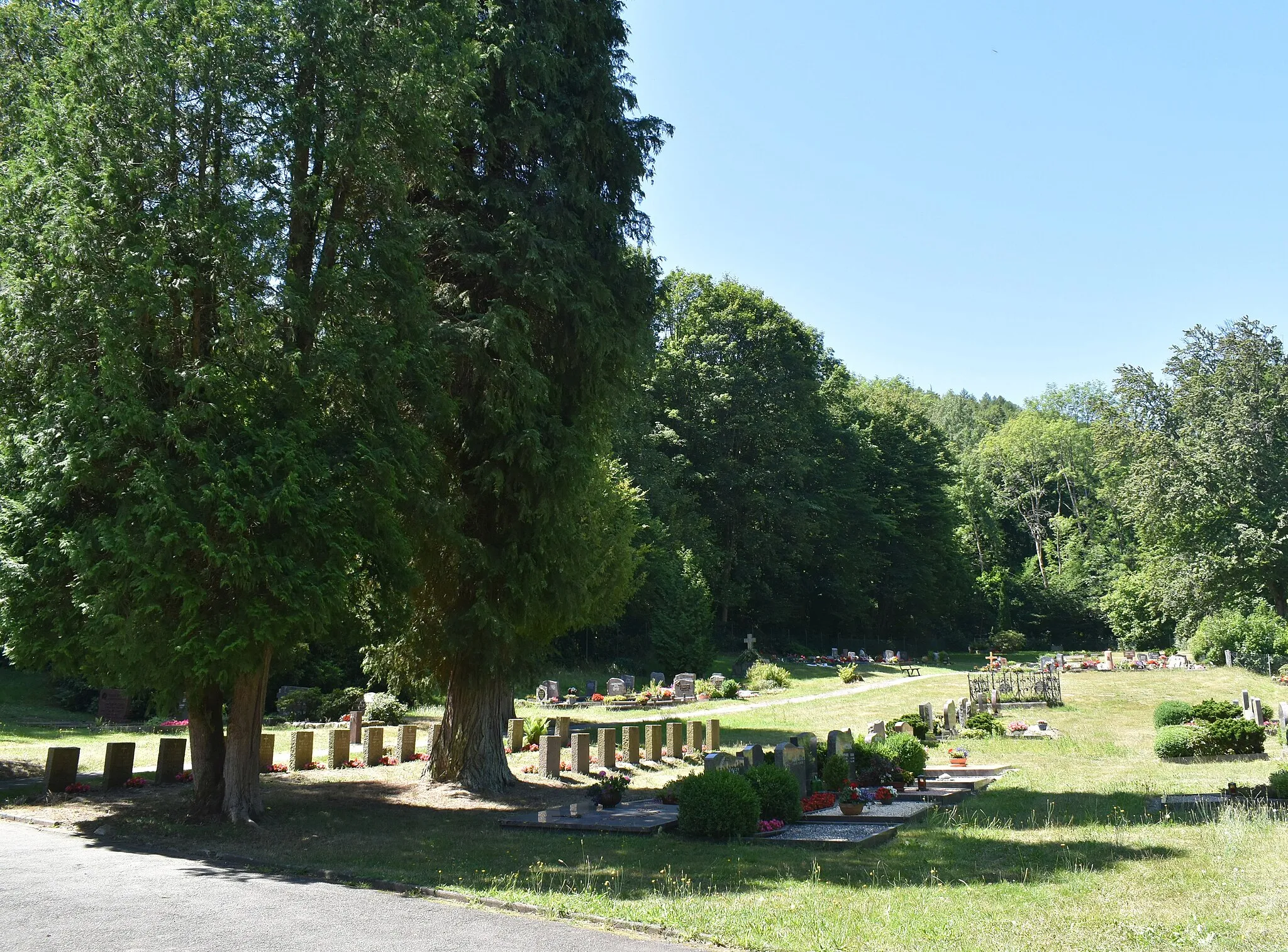 Photo showing: Der Friedhof in Zorge im Harz