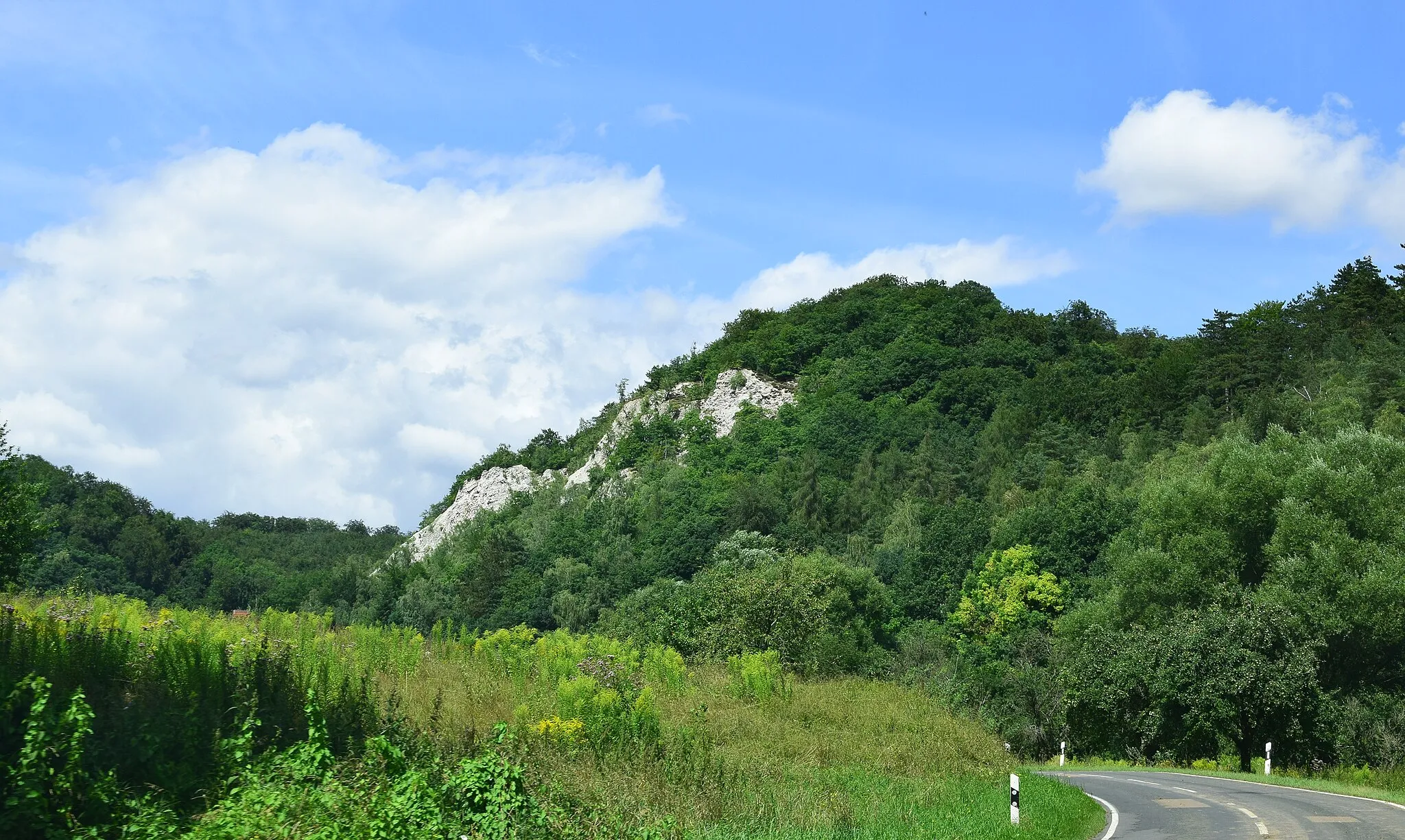 Photo showing: Gipsfelsen an der Straße zwischen Wickerode und Questenberg im Naturschutzgebiet Gipskarstlandschaft Questenberg