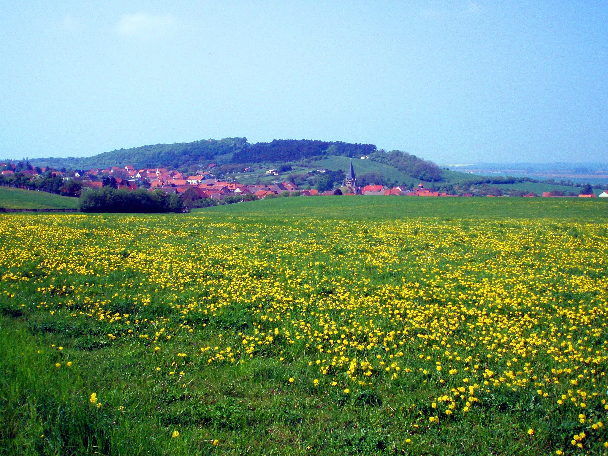 Photo showing: Blick auf Benzingerode