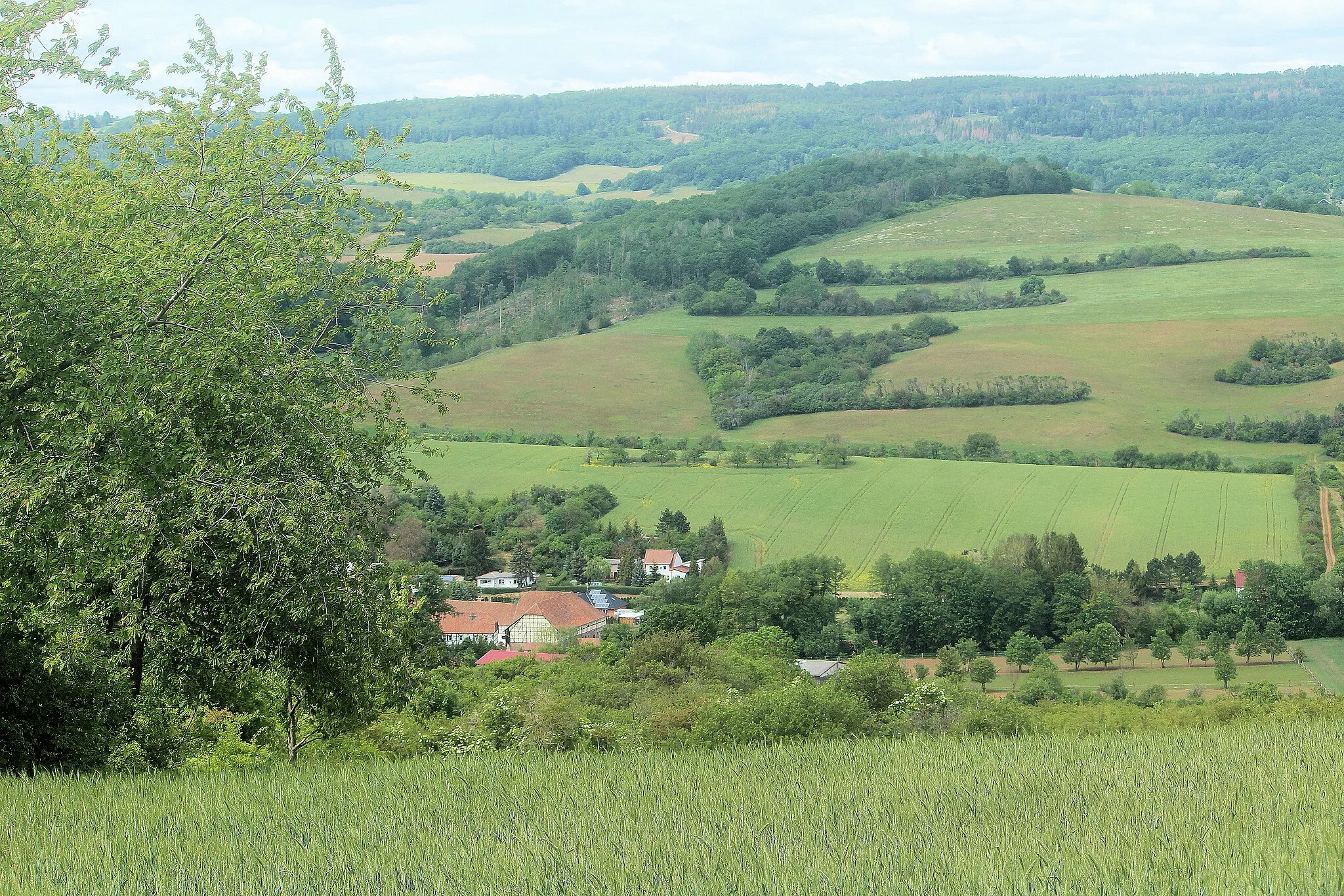Photo showing: Drebsdorf (Südharz), view from Großer Buchberg to the village