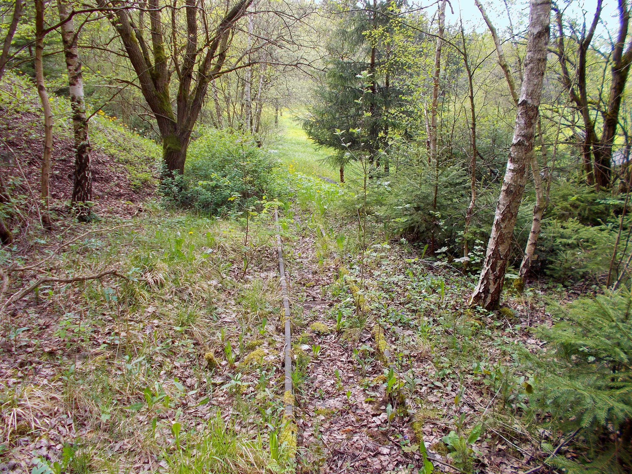 Photo showing: Reste der Erzbahn Silberhütte–Neudorf