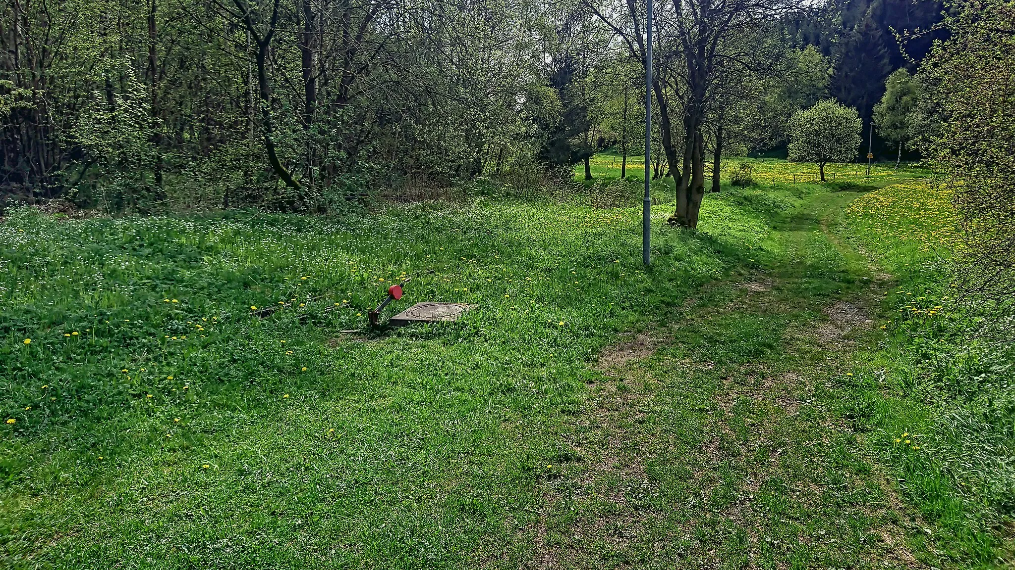 Photo showing: ehem. Weiche der Erzbahn Silberhütte–Neudorf