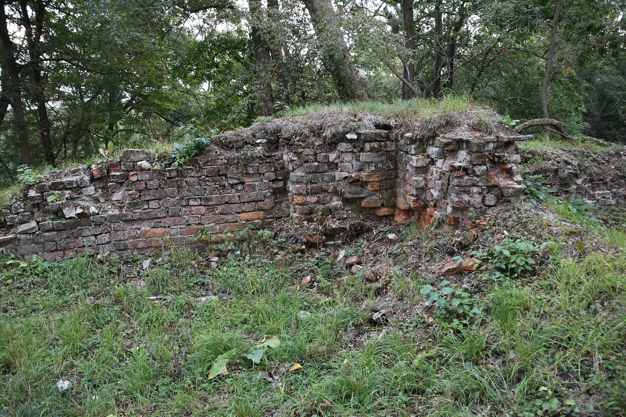 Photo showing: Burgruine Anhalt auf dem Großen Hausberg bei Harzgerode