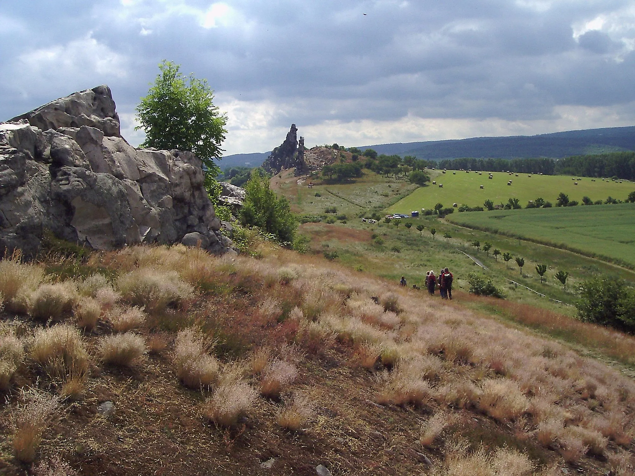 Photo showing: Silbergrasrasen am Mittelstein (Teufelsmauer bei Weddersleben). Mit Blick auf den Königstein und die Nordharzkante.