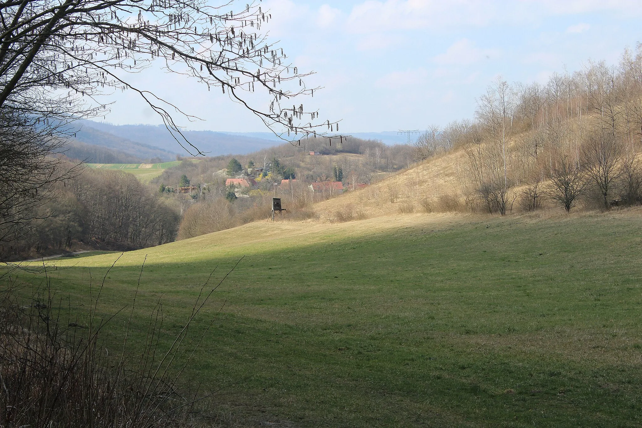 Photo showing: Stecklenberg, NSG Münchenberg, glade