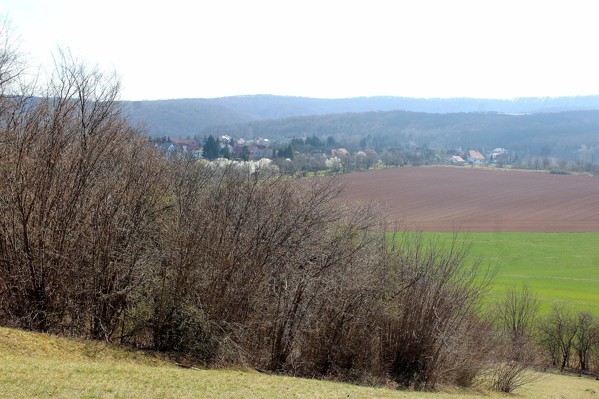 Photo showing: Stecklenberg, NSG Münchenberg,view to Bad Suderode
