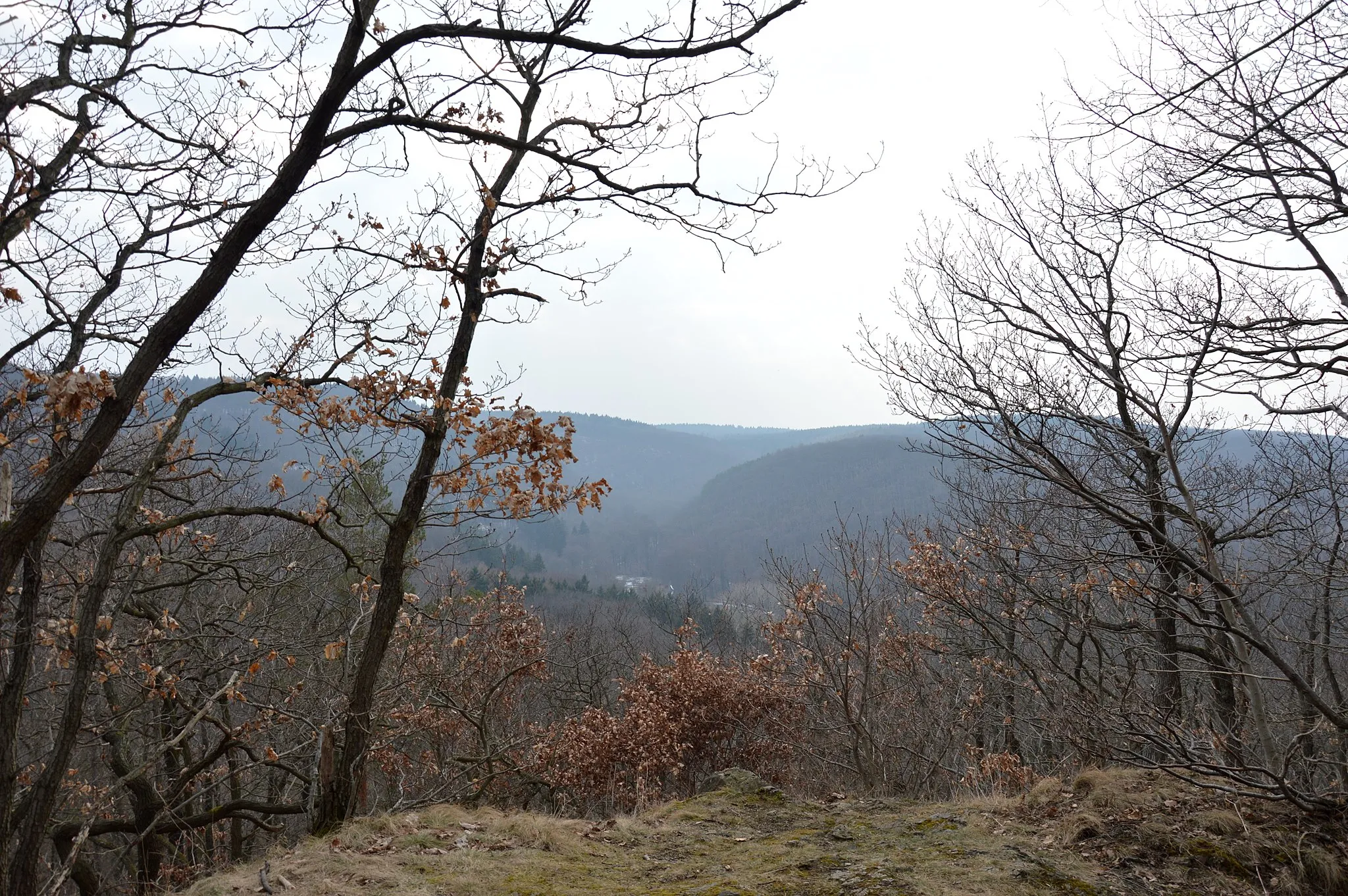 Photo showing: Blick von der Ölbergshöhe