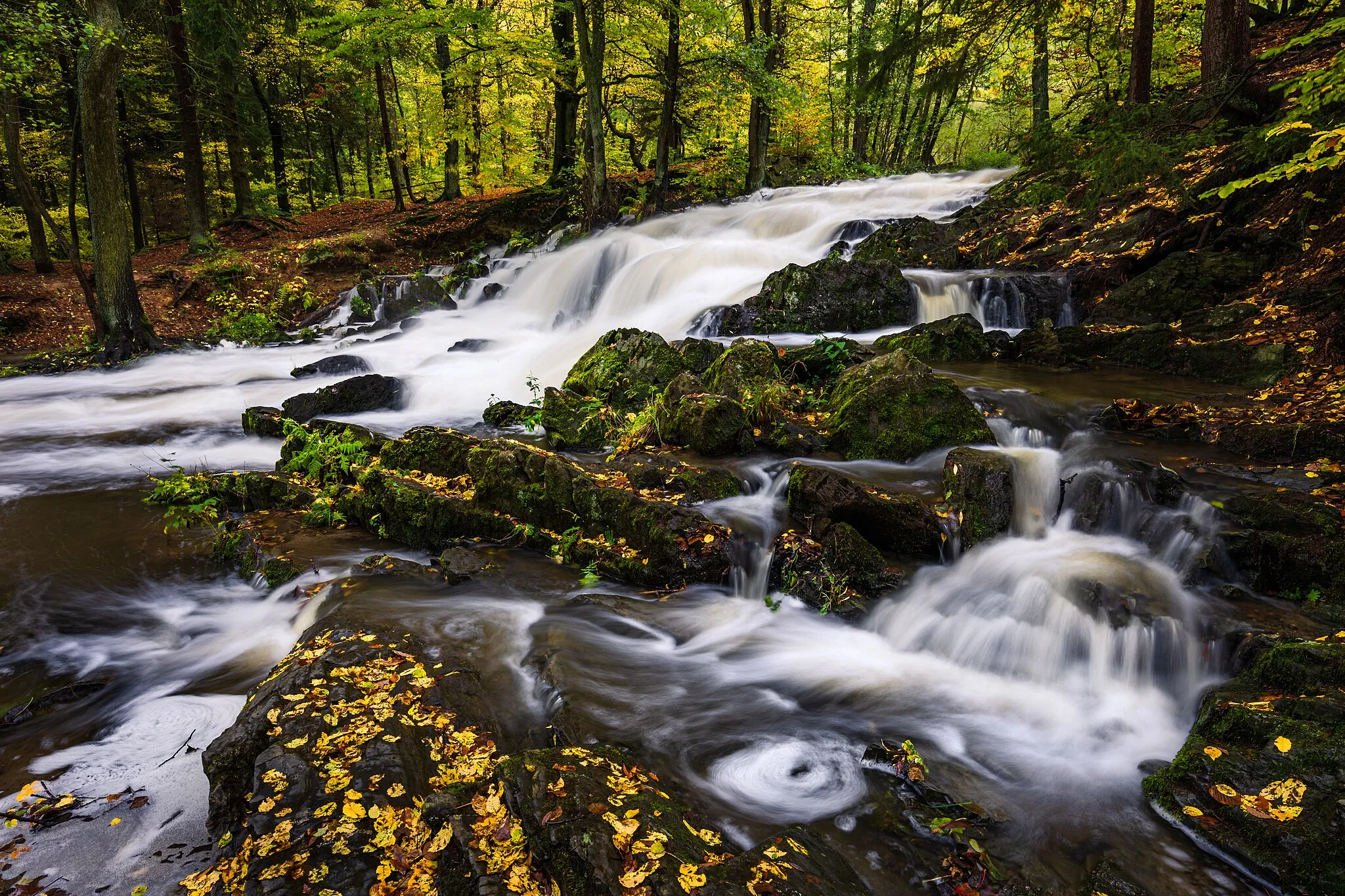 Photo showing: Selkefall