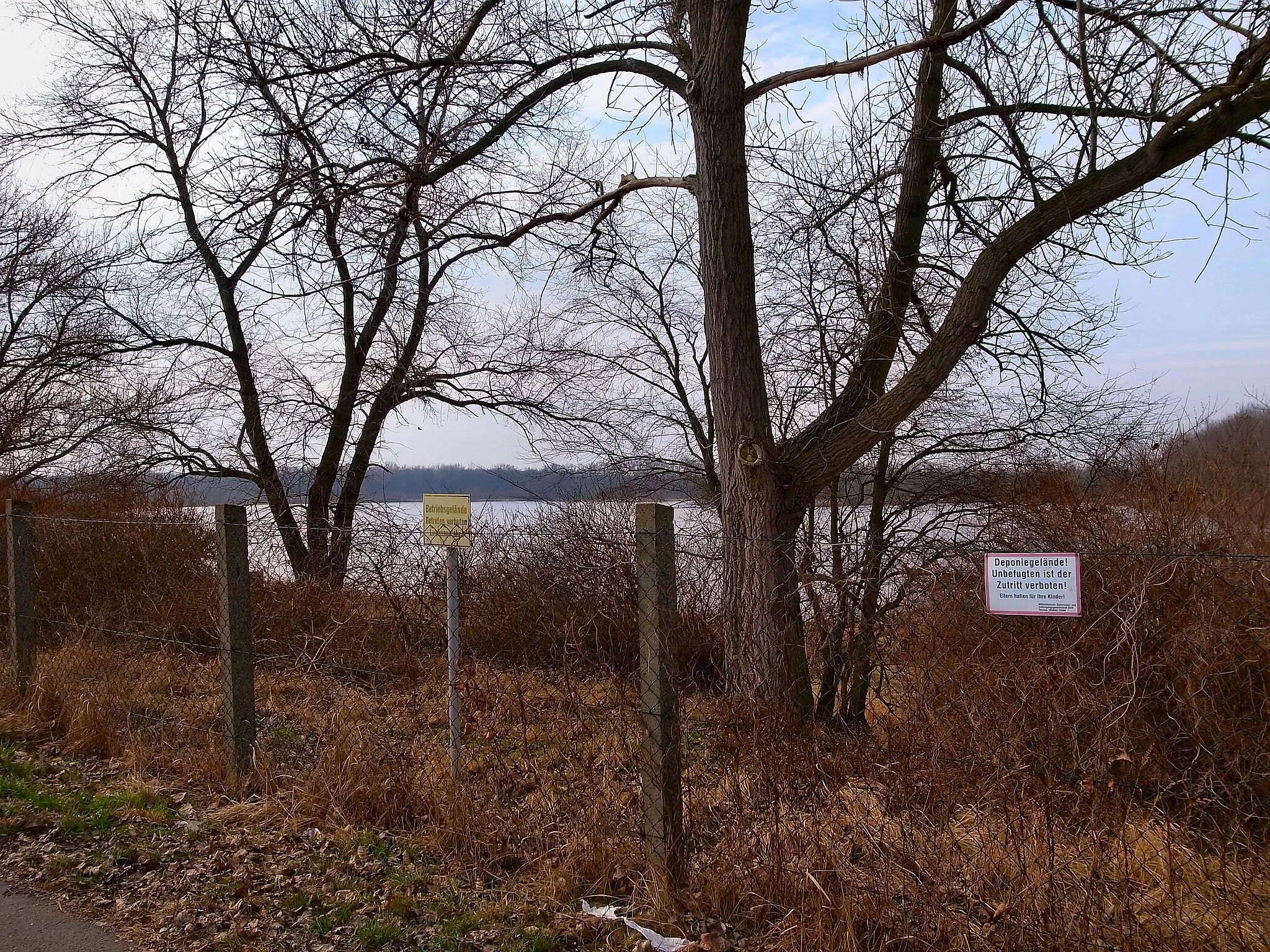 Photo showing: Silbersee (Bitterfeld-Wolfen, Gemeinde Greppin)