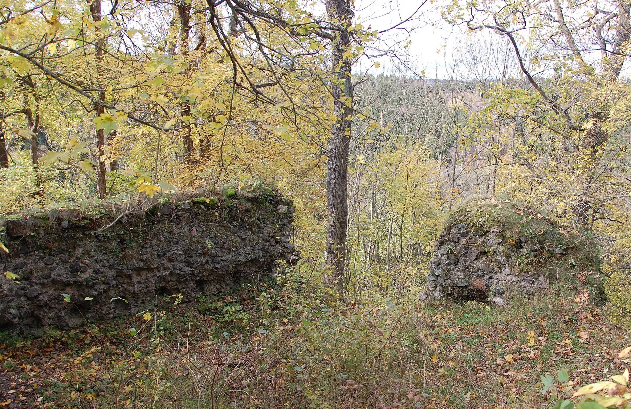 Photo showing: Ruine der Heinrichsburg
