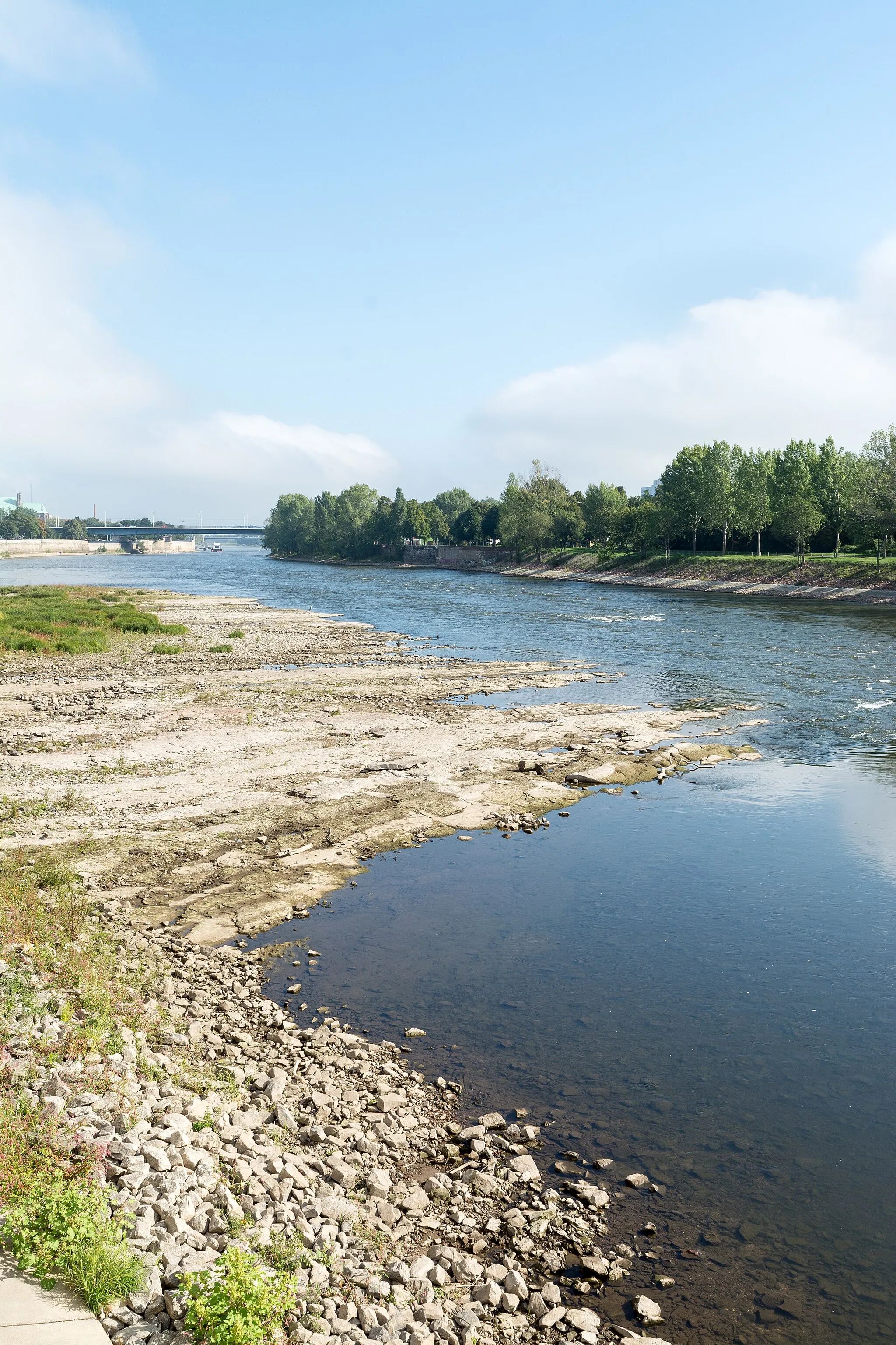 Photo showing: 'Domfelsen in der Elbe im Stadtgebiet von Magdeburg.