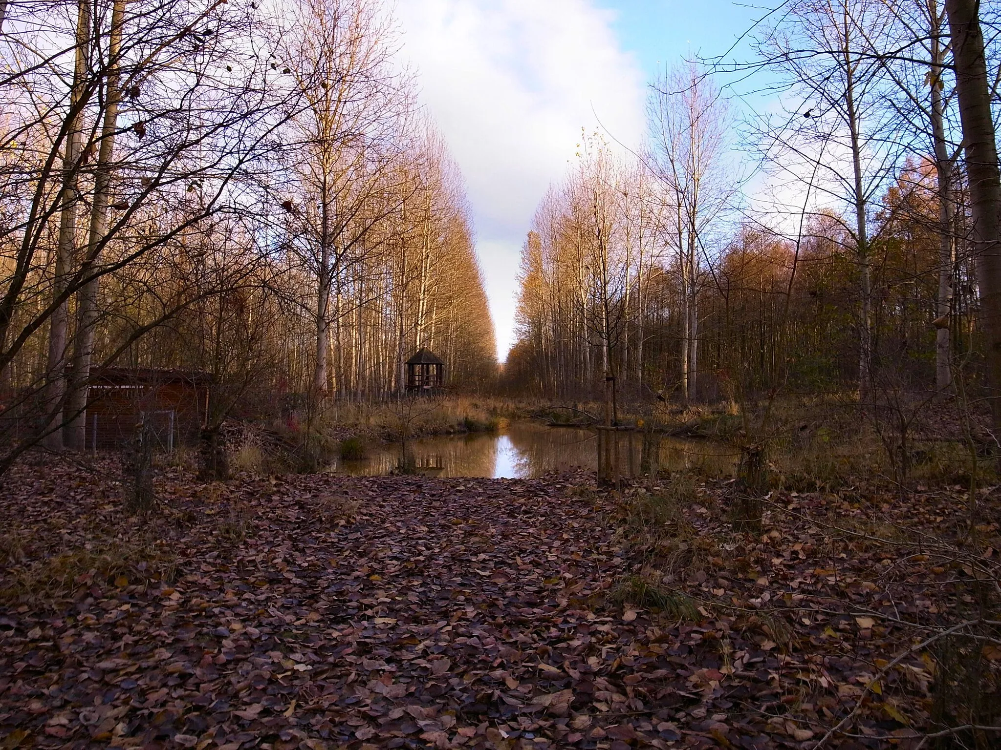 Photo showing: Biosphärenreservat Mittelelbe, Biberfreianlage