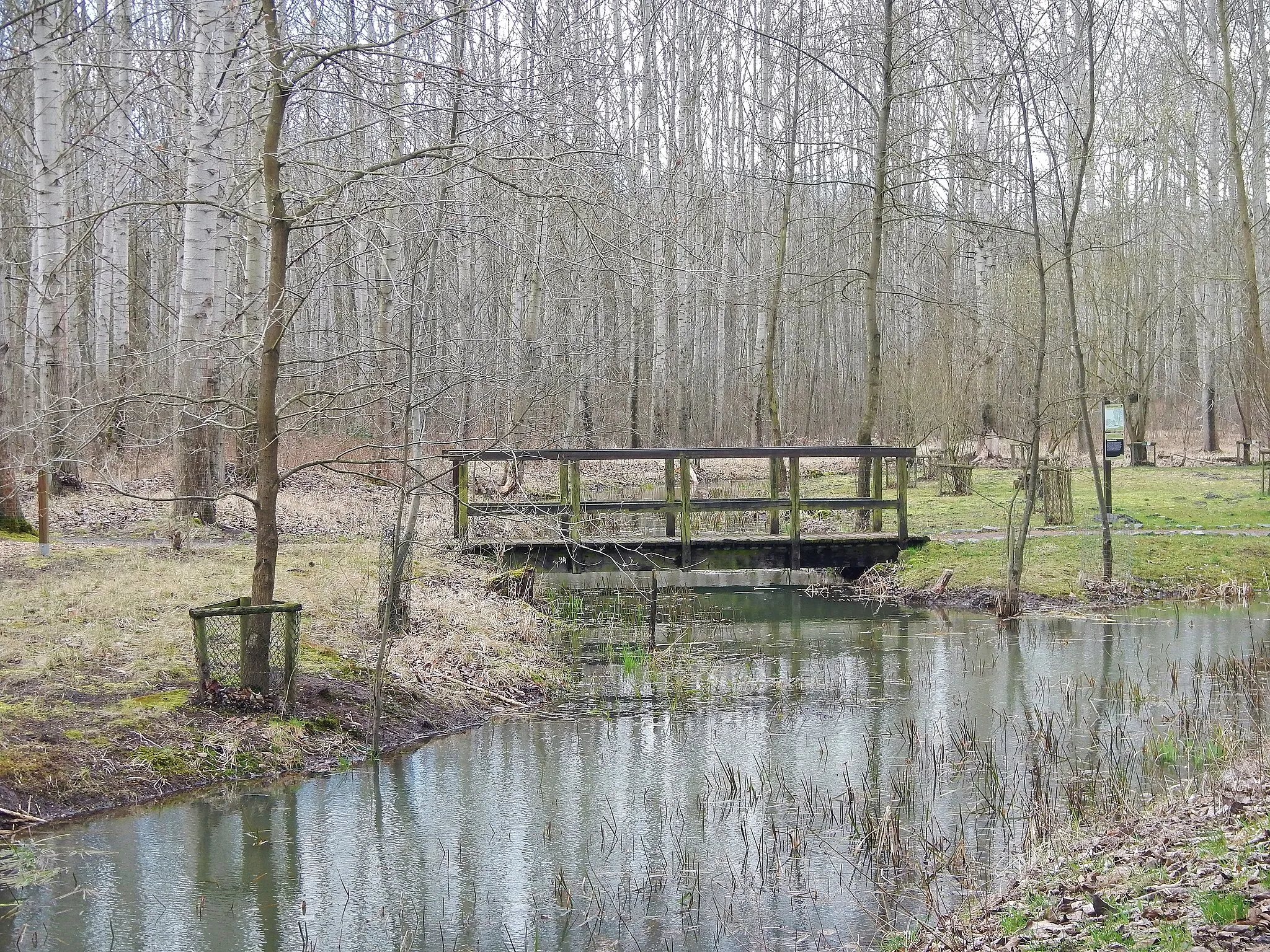 Photo showing: Biberfreianlage inmitten des Lehrpfadsystems des Informationszentrums zum Biosphärenreservat Mittlere Elbe am renaturierten Landeskulturgraben zwischen Dessau und Oranienbaum