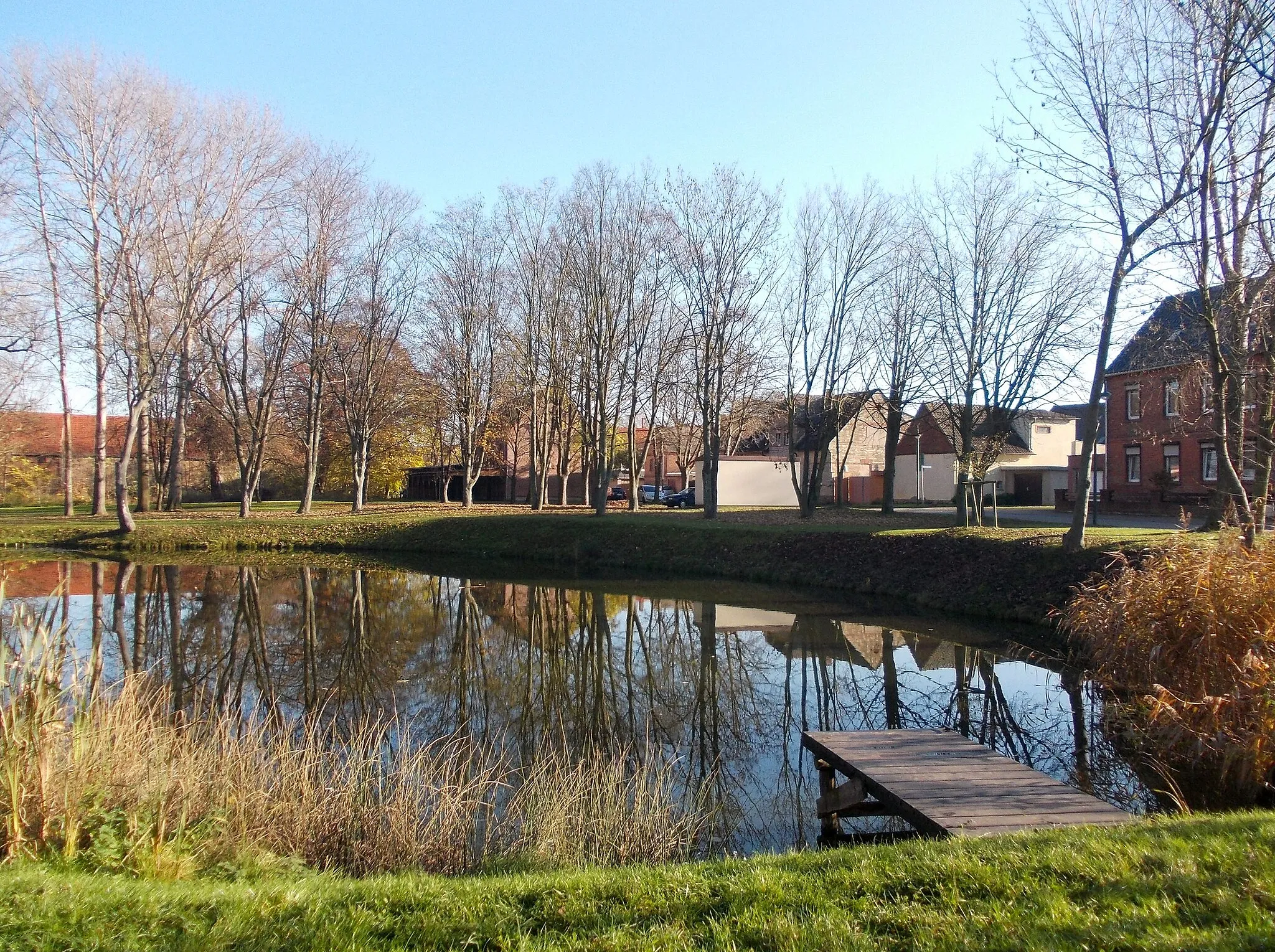Photo showing: Pond in Atzendorf (Merseburg, district: Saalekreis, Saxony-Anhalt)