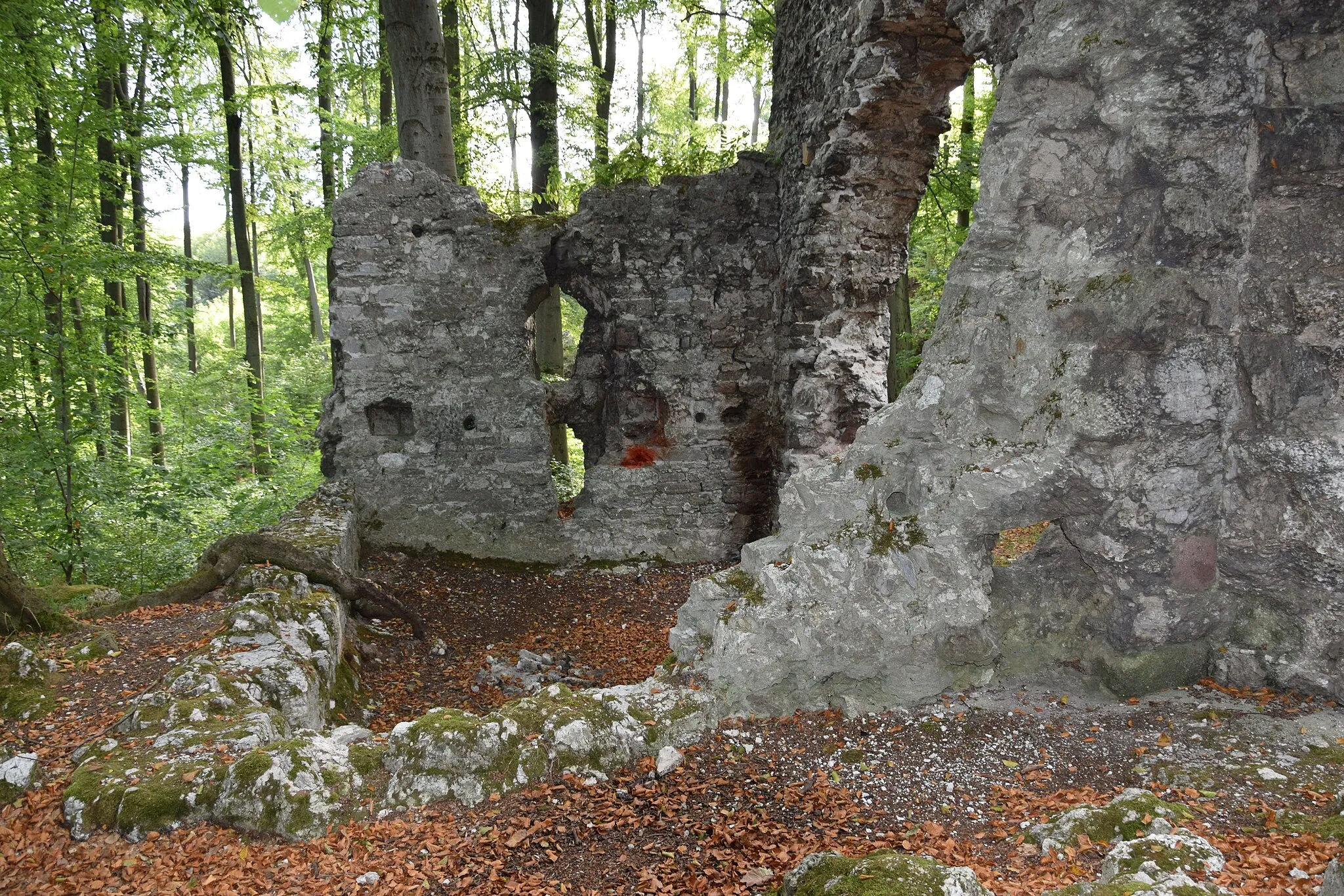 Photo showing: Die Grasburg bei Rottleberode - Chor