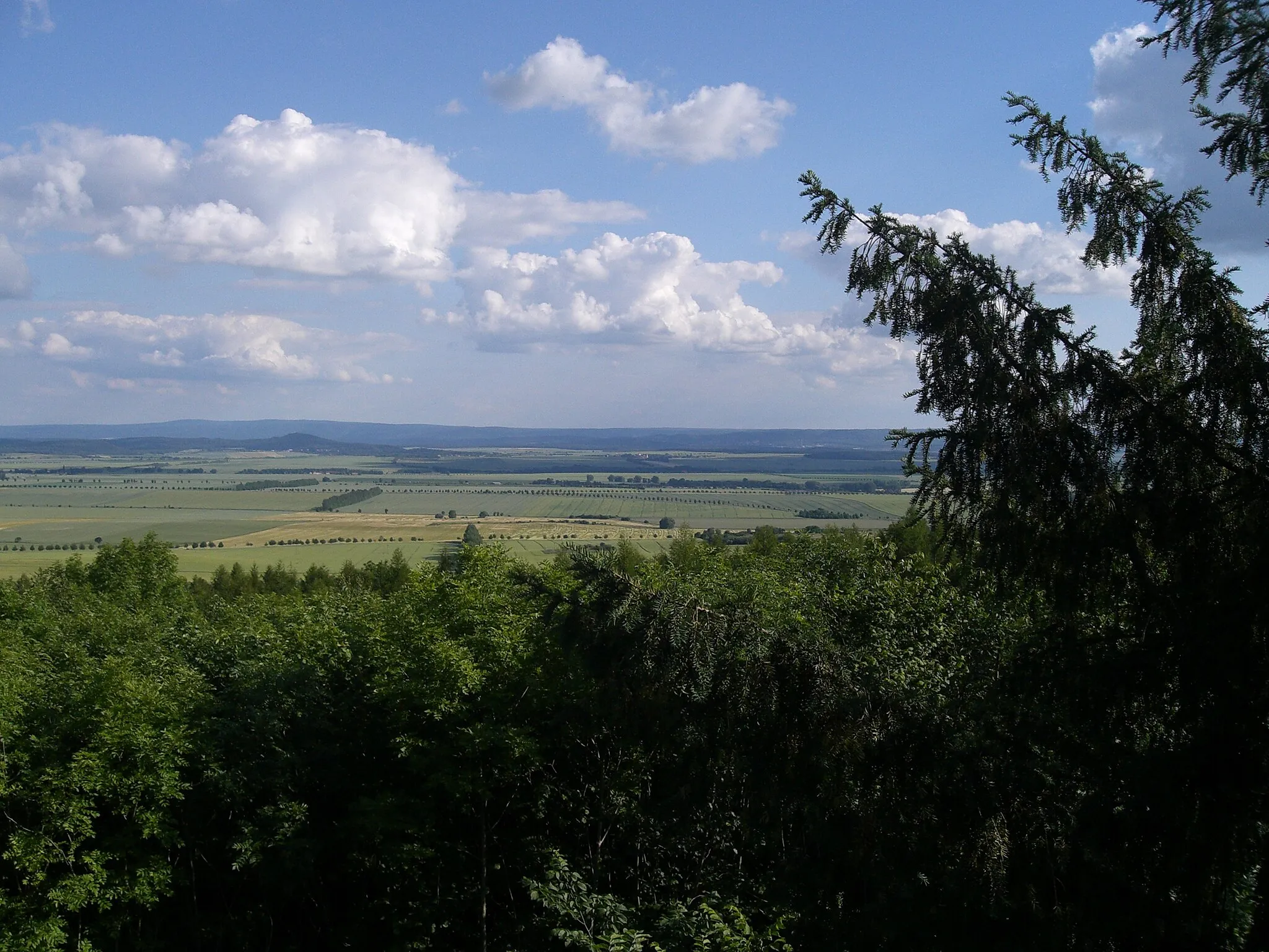 Photo showing: View from Sargstedter Warteturm, a tower North West of the village of Sargstedt, Saxony-Anhalt, Germany. View approx. to South.