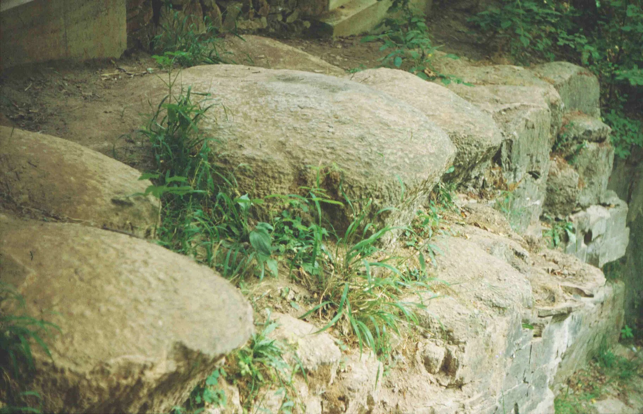 Photo showing: Stromatolites, Lower Buntsandstein. Location: Wilhelmshall, Huy, Sachsen-Anhalt, Germany.