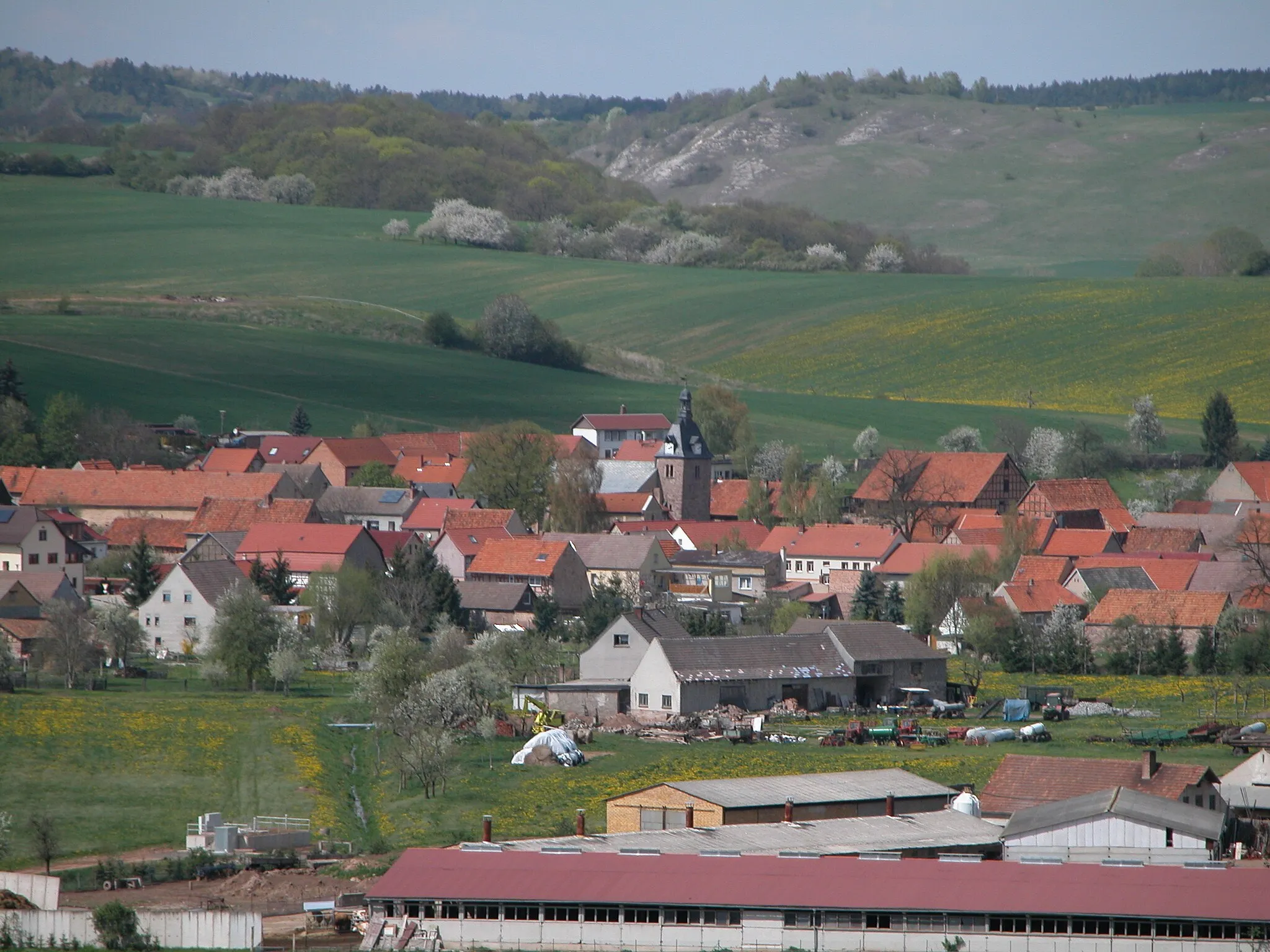 Photo showing: 2004 in Steinthaleben