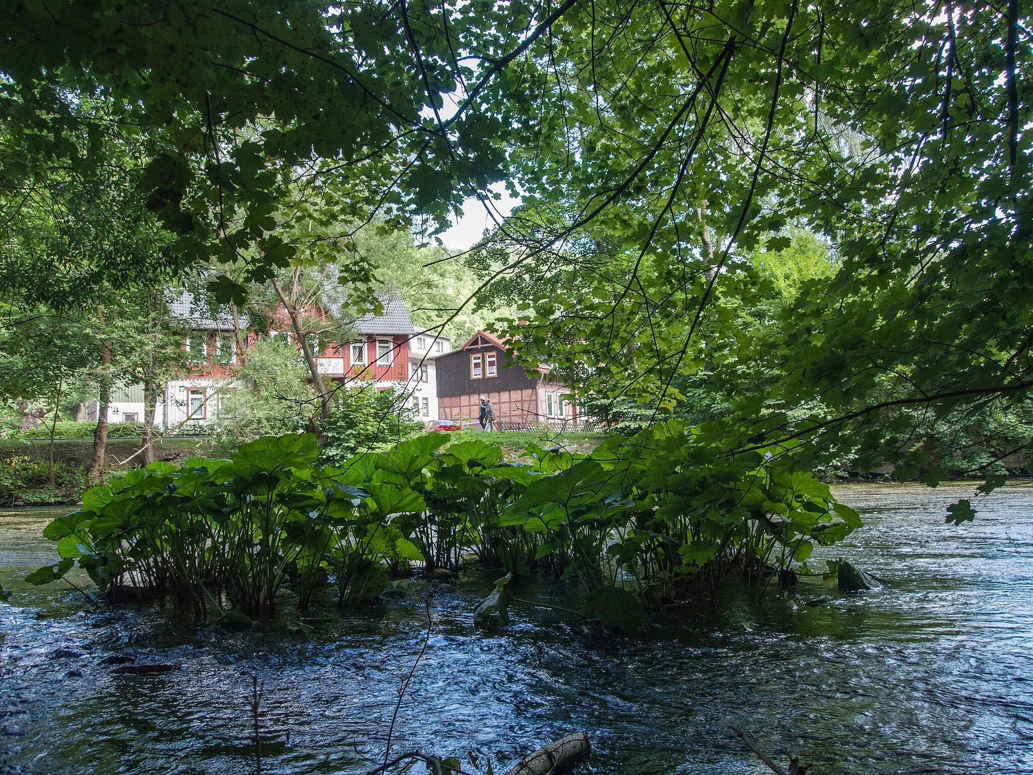 Photo showing: Blick vom Hexenstieg auf die Bode in Treseburg (Landkreis Harz; Sachsen-Anhalt)