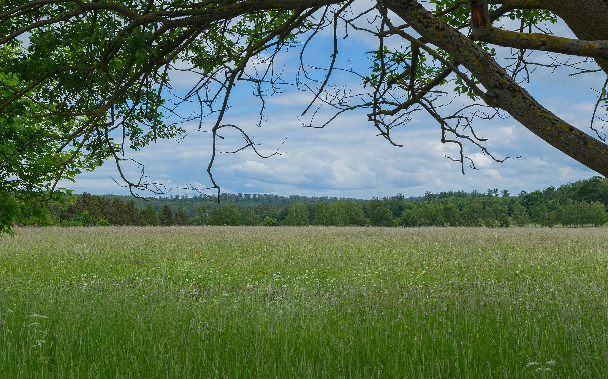 Photo showing: This is a picture of the protected area listed at WDPA under the ID