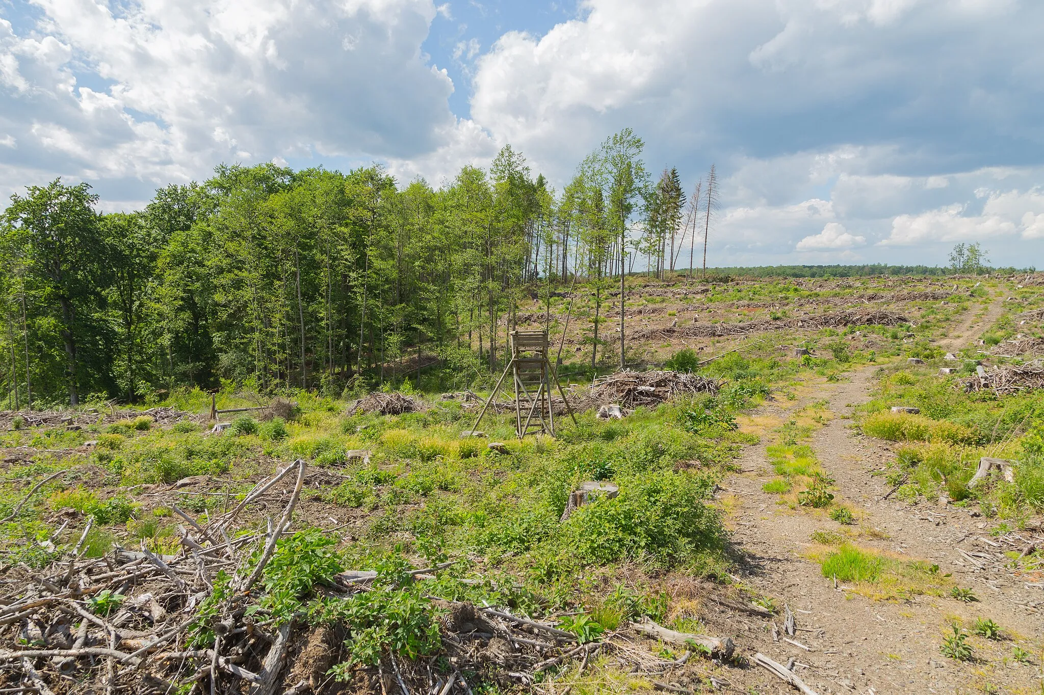 Photo showing: This is a picture of the protected area listed at WDPA under the ID