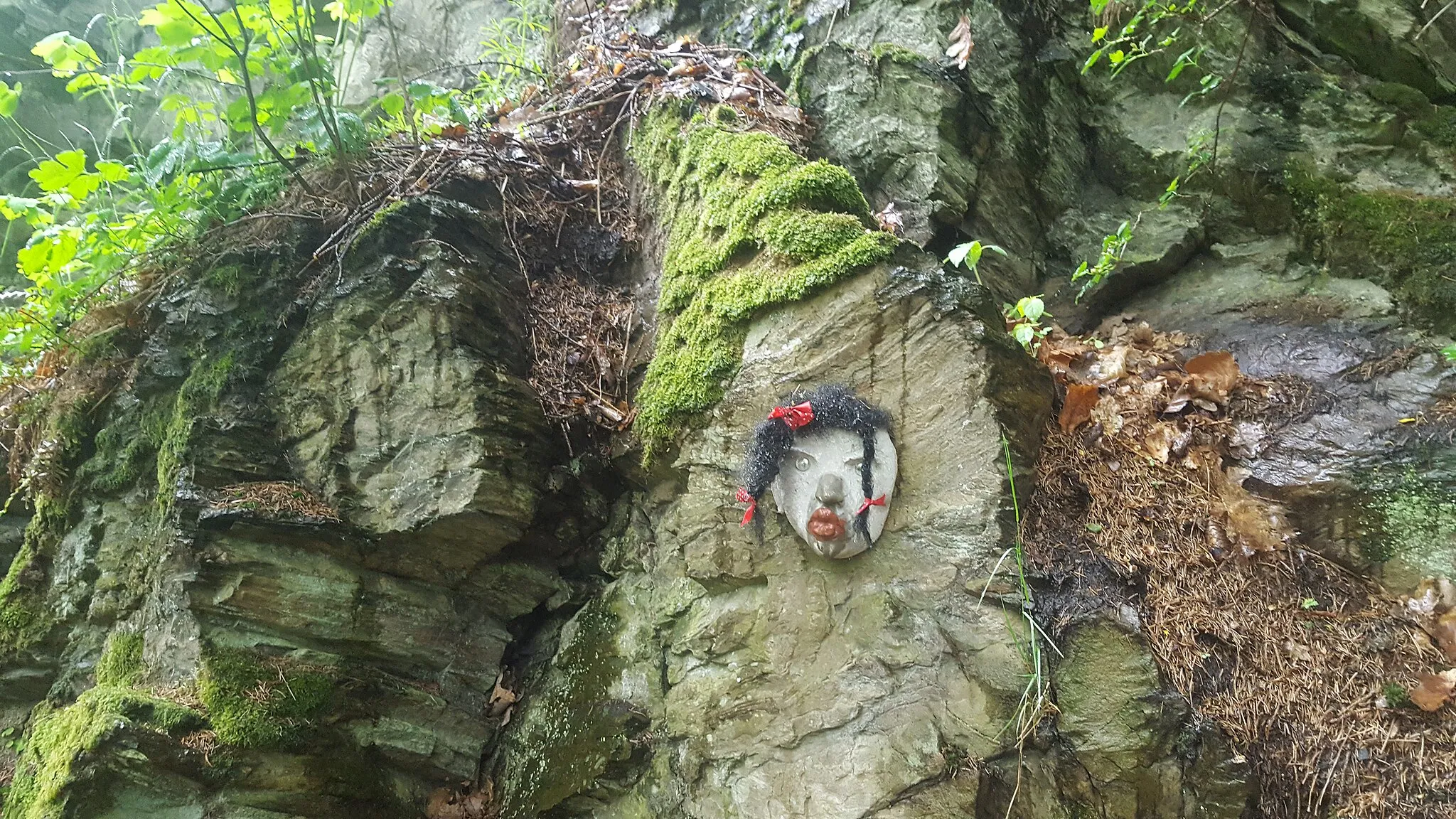 Photo showing: Selketal bei Alexisbad im Naturschutzgebiet im Kreis Mansfeld Südharz, Sachsen-Anhalt.