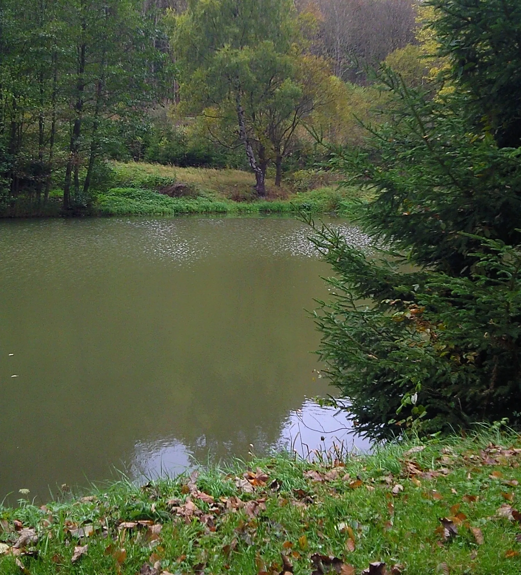 Photo showing: Katzsohlteich - Blick über den Teich