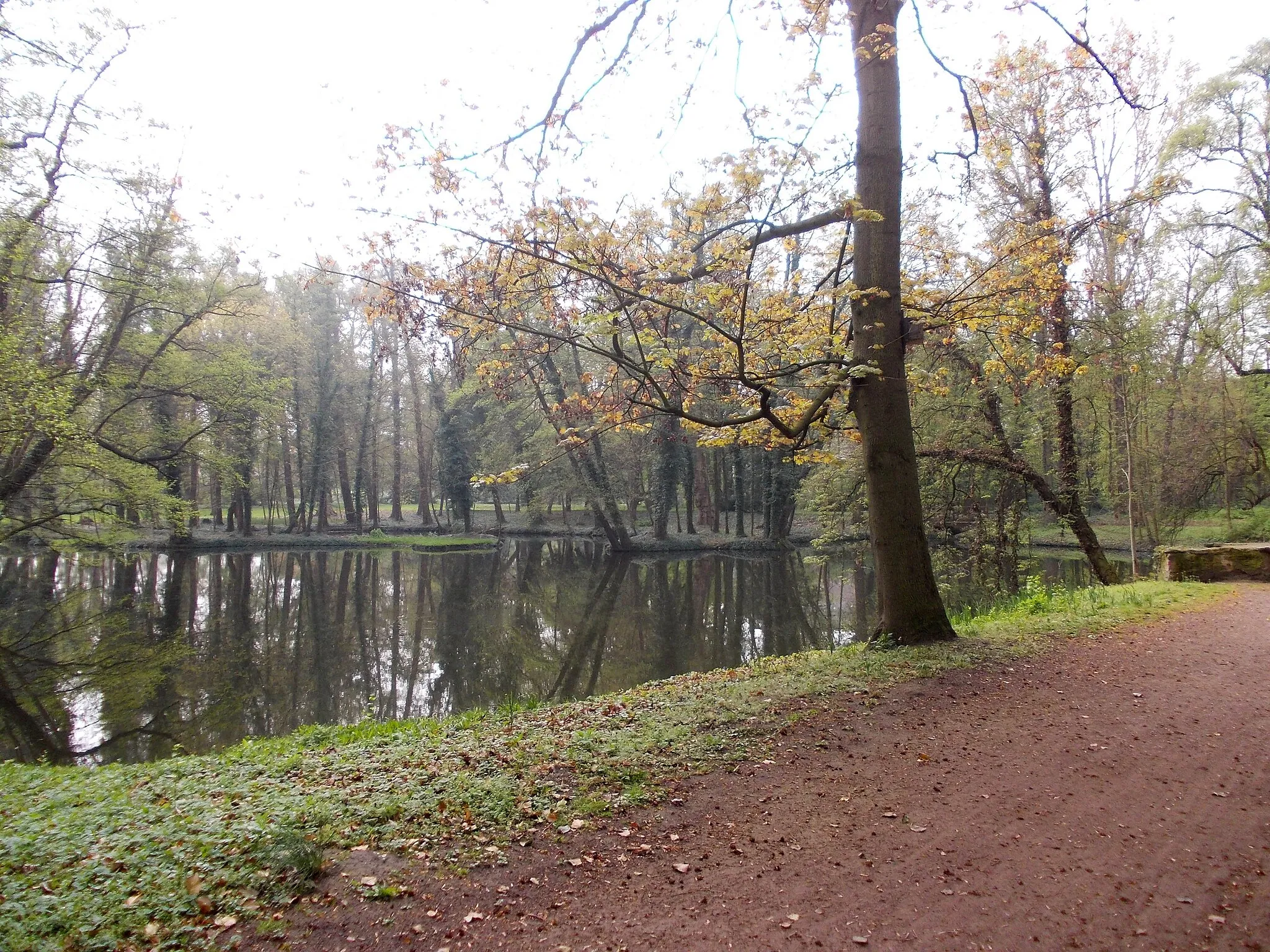 Photo showing: Pond in the gardens of Ostrau castle (Petersberg, district: Saalekreis, Saxony-anhalt)