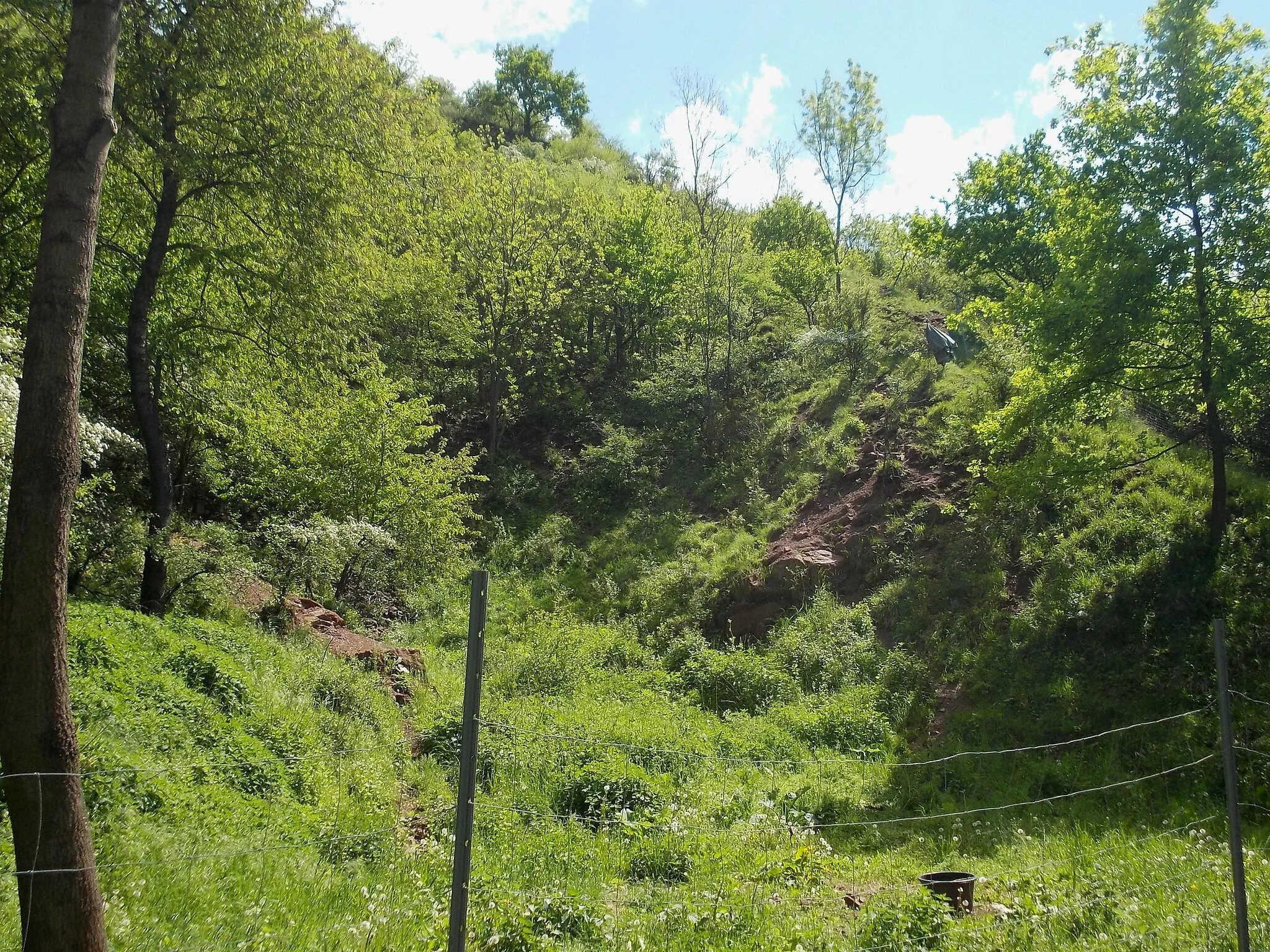 Photo showing: Old quarry near Dobis (Wettin-Löbejün, district: Saalekreis, Saxony-Anhalt), part of the nature reserve Saale hillsides near Dobis