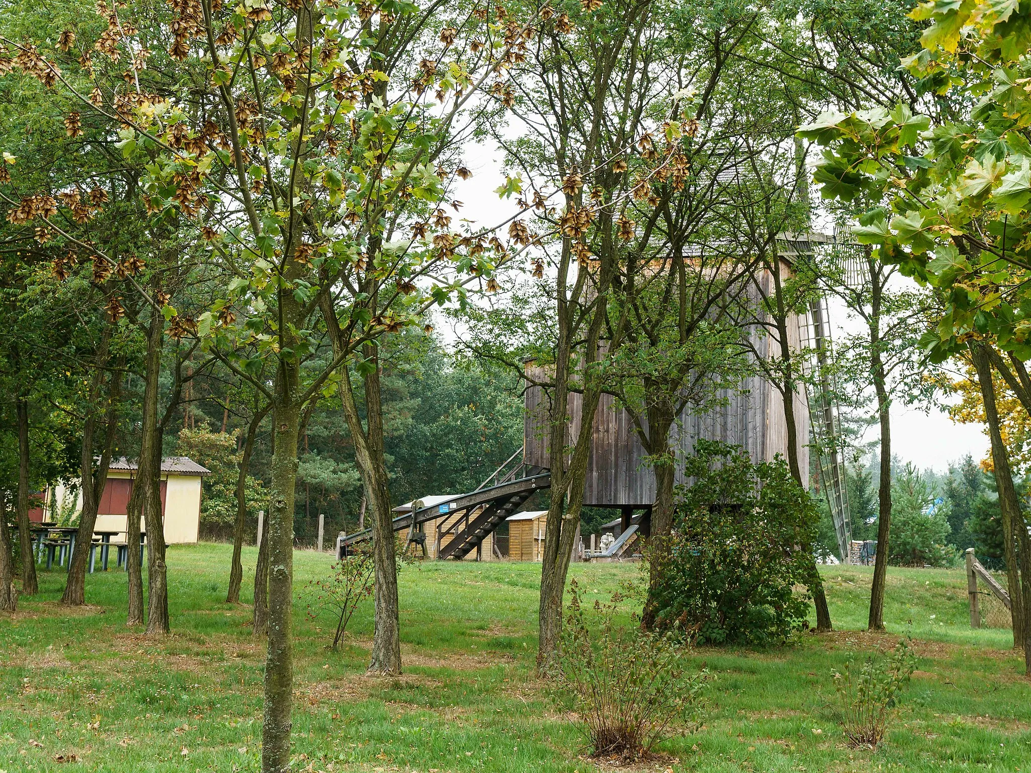 Photo showing: Bockwindmühle in Parchen