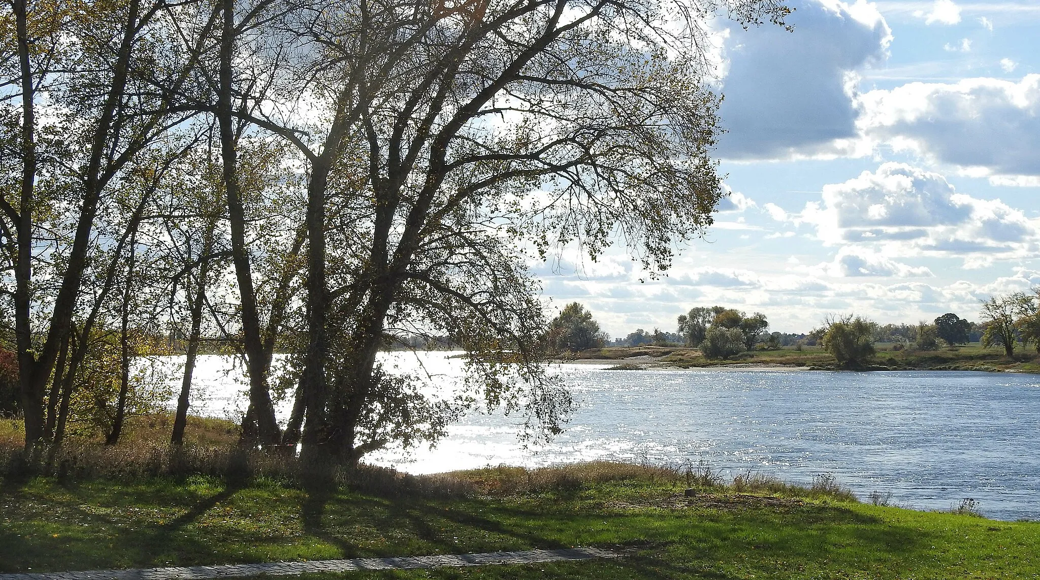 Photo showing: An der Elbe bei Ferchland