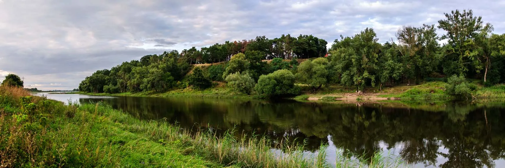 Photo showing: Old Elbe near Derben in August, view of the confluence with the Elbe