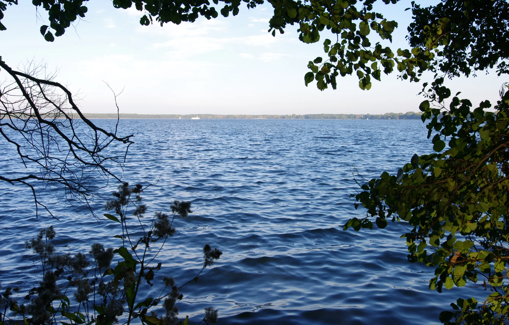 Photo showing: Lake Arendsee in northern Germany – a large water-filled sinkhole. View from the western bank.