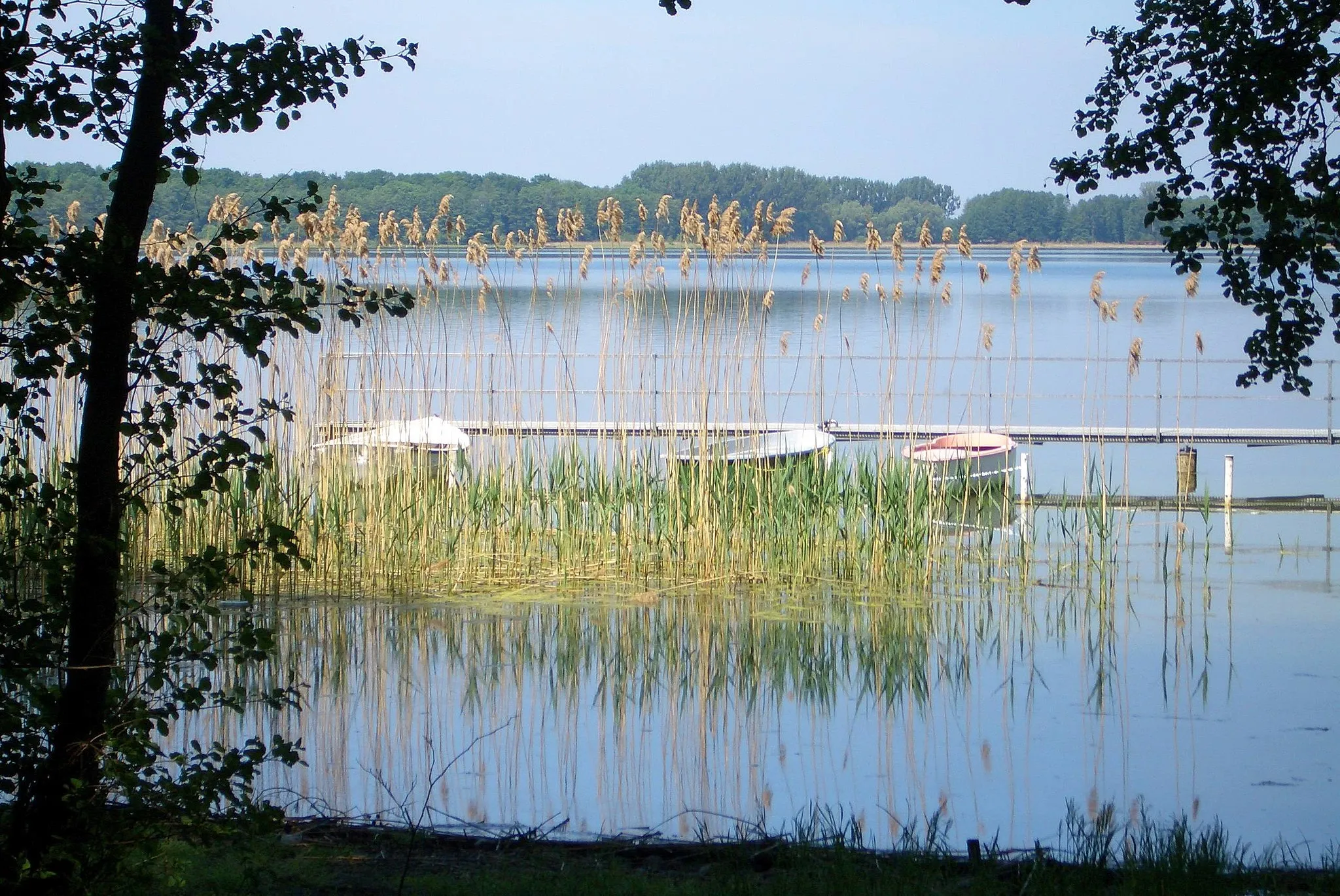 Photo showing: Der Arendsee im Altmarkkreis de:Salzwedel; ein Einbruchsee mit großer Tiefe. Blick vom Ufer durchs Ufergehölz auf die Seefläche.