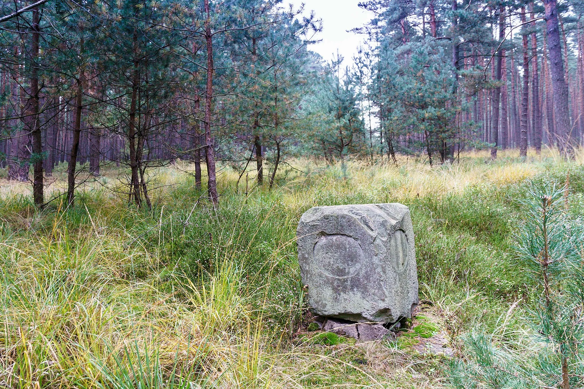 Photo showing: Preußischer Viertelmeilenwürfel (1261) abgelegt im Harper Forst  bei Gollensdorf