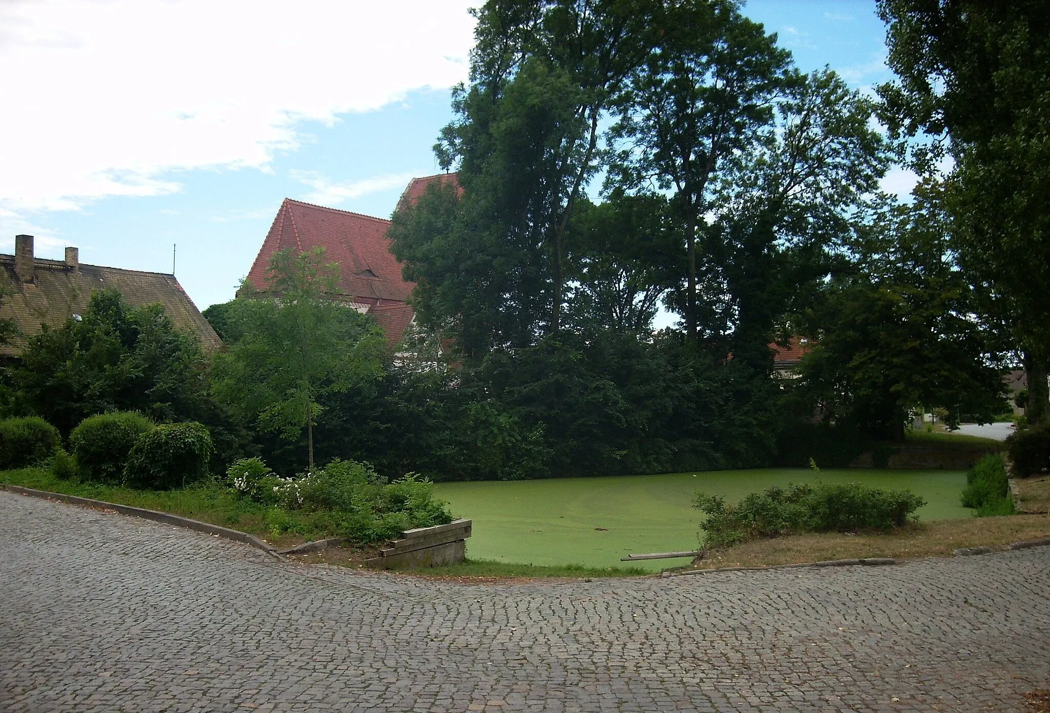 Photo showing: Pond in Kölsa (Wiedemar, Nordsachsen district, Saxony)