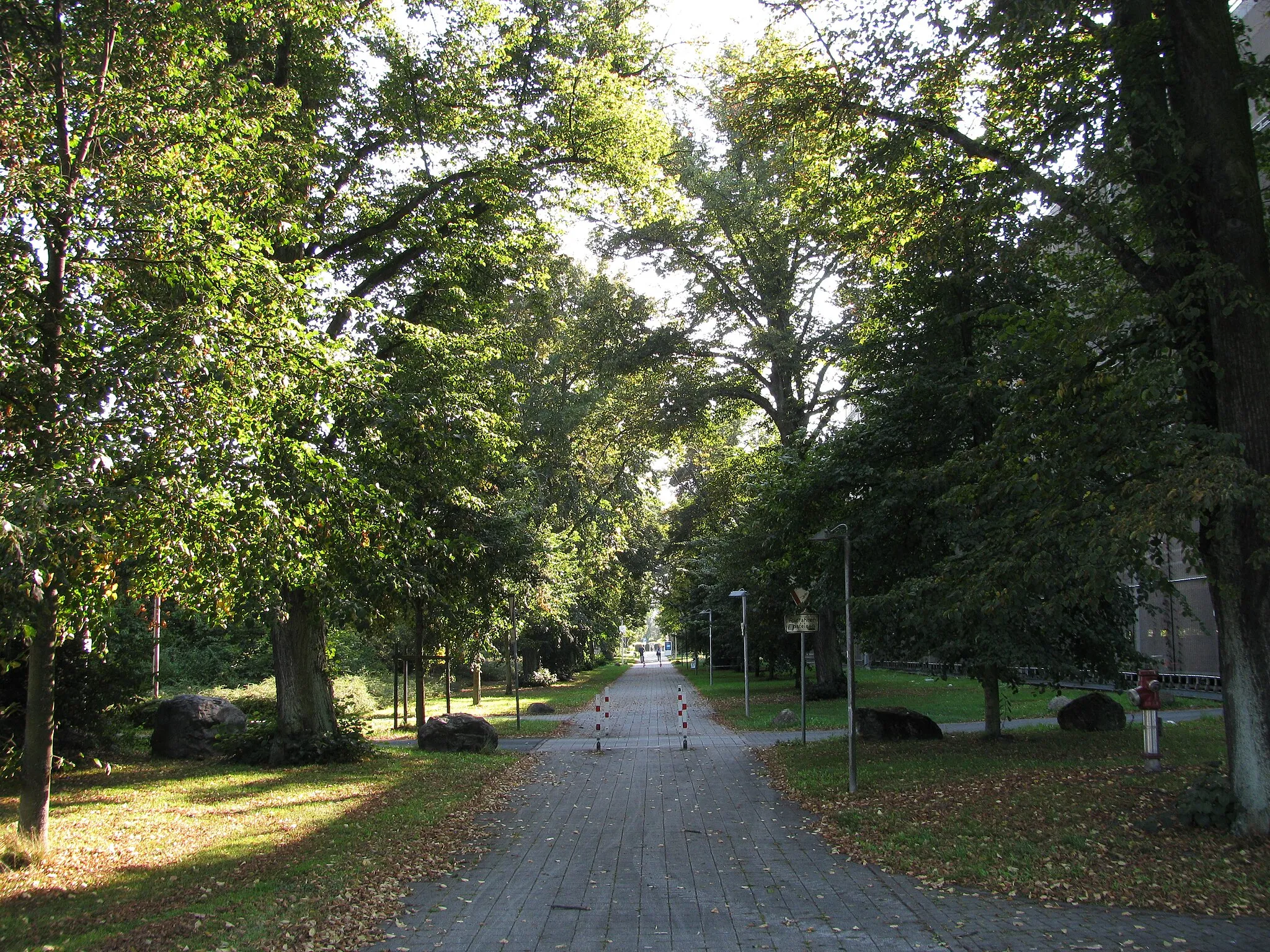 Photo showing: die Allee zwischen der Oebisfelder Straße und der Mittelstraße in Wolfsburg