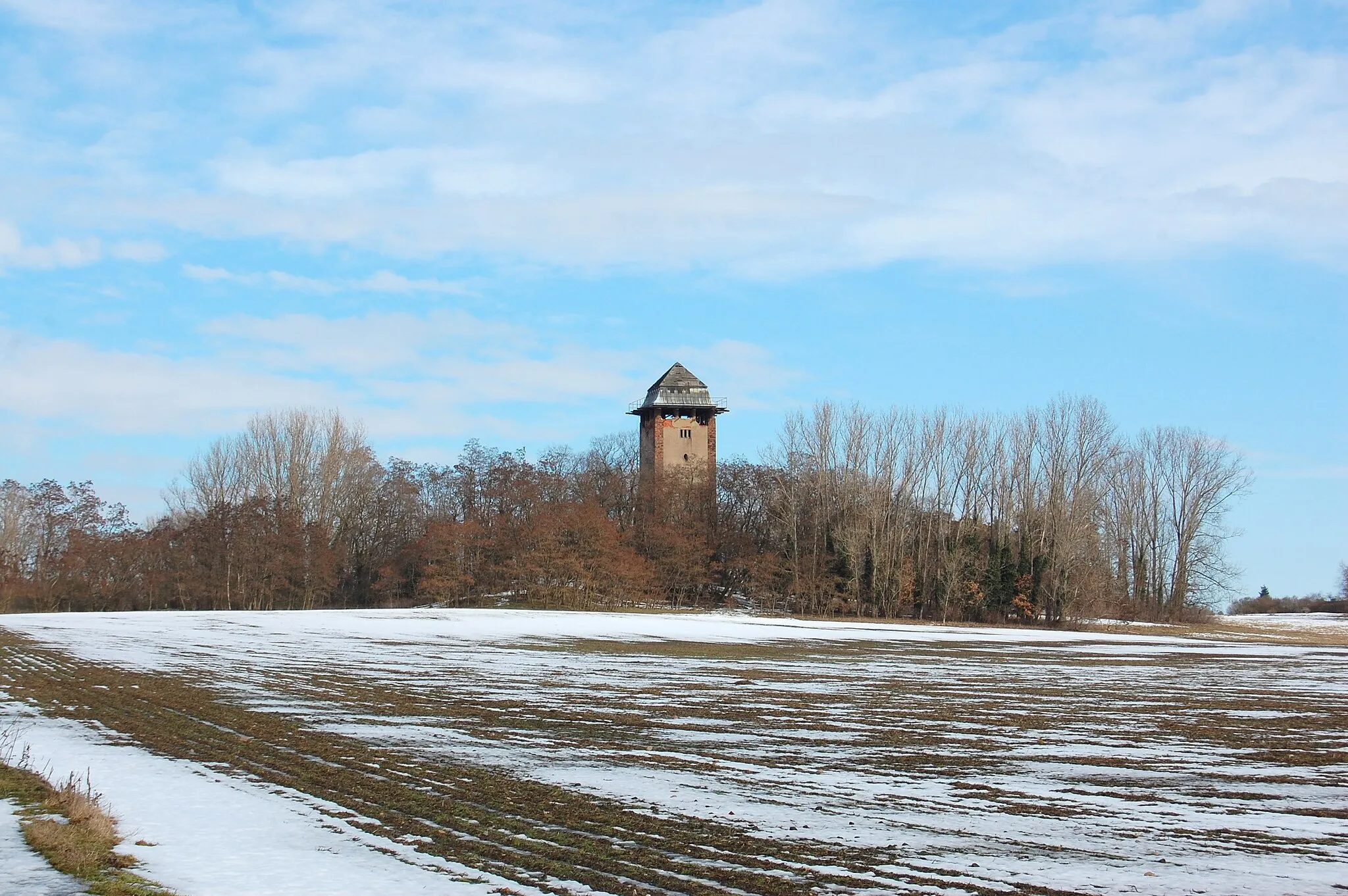 Photo showing: Trendelberg nördlich von Haldensleben