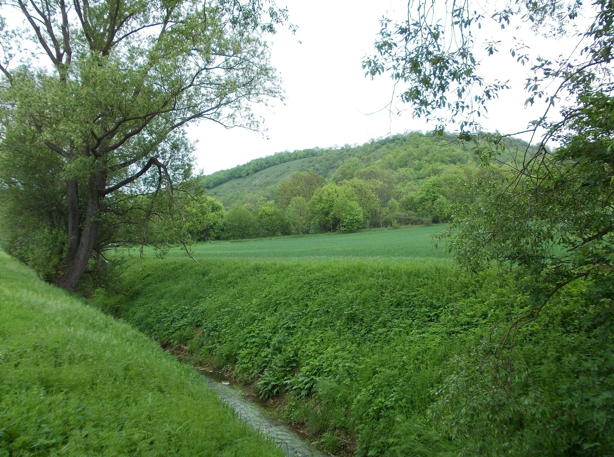 Photo showing: Hasselbach stream between Grössnitz and Balgstädt (district: Burgenlandkreis, Saxony-Anhalt)